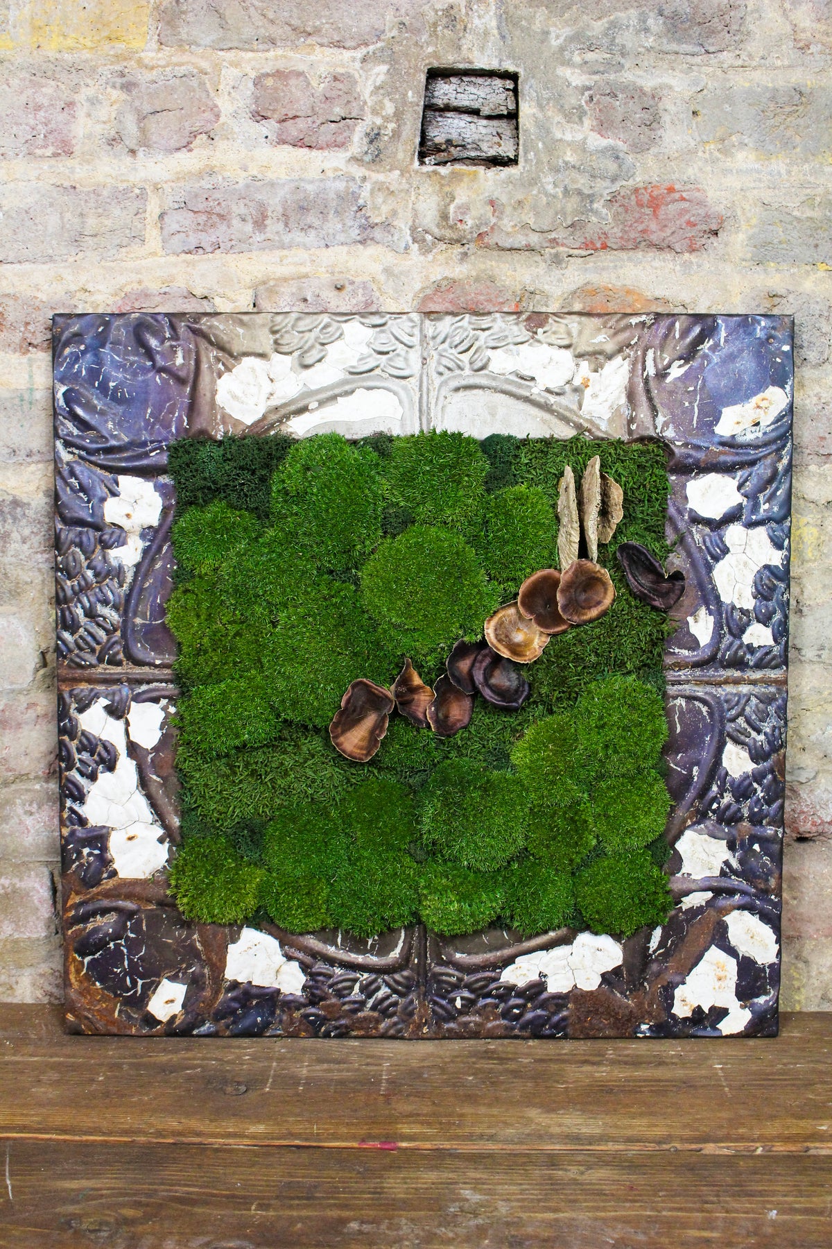 Preserved Moss Art (Victorian Frame) FR82