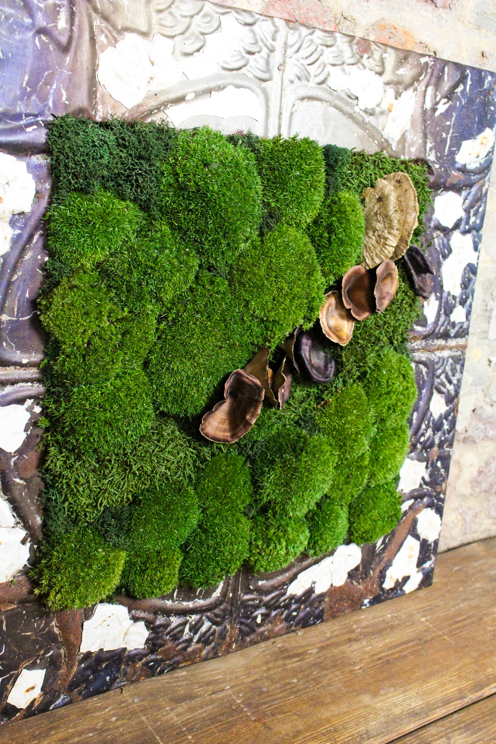 Preserved Moss Art (Victorian Frame) FR82