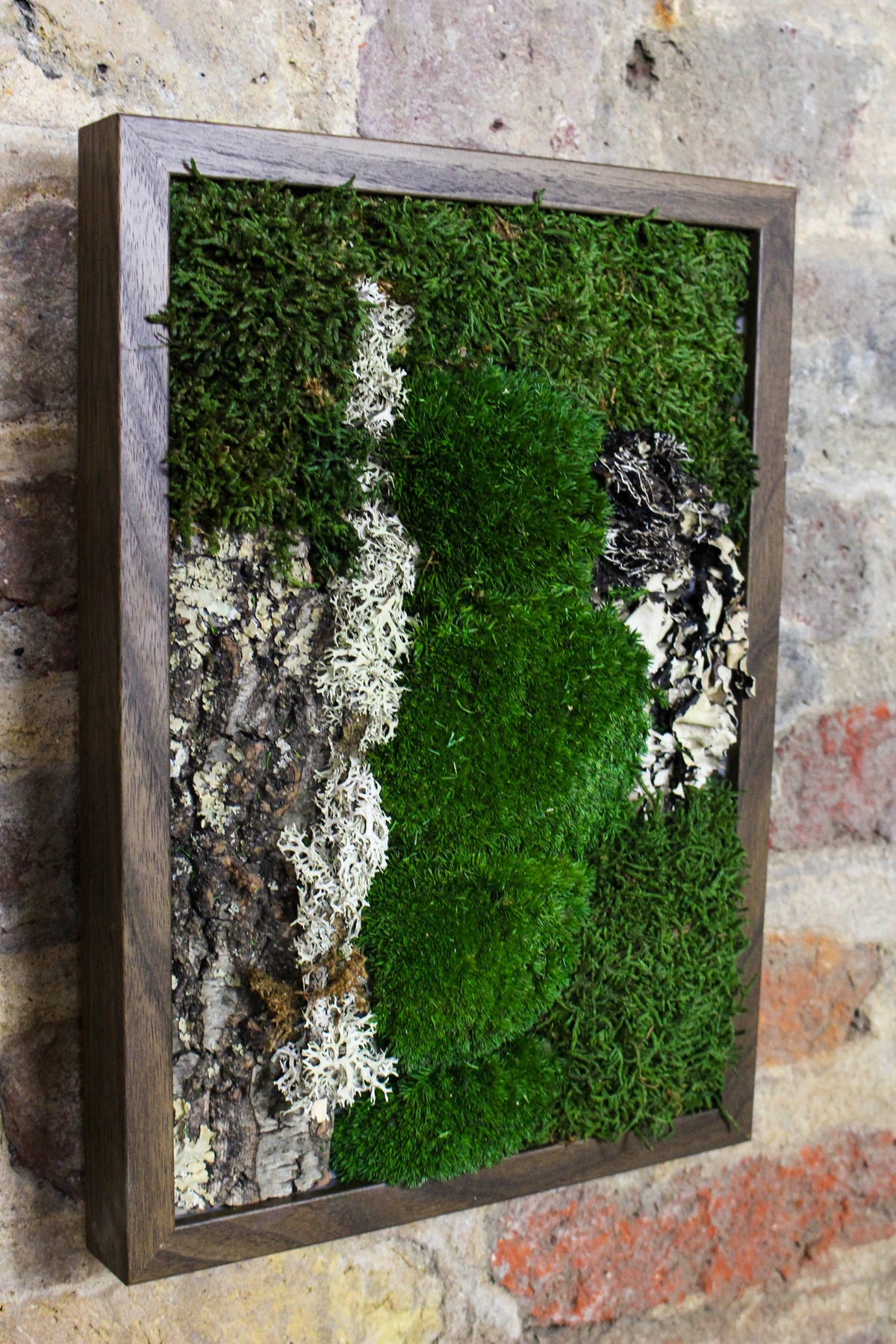 Preserved Moss Art - (Wooden Frame) A4 FR83