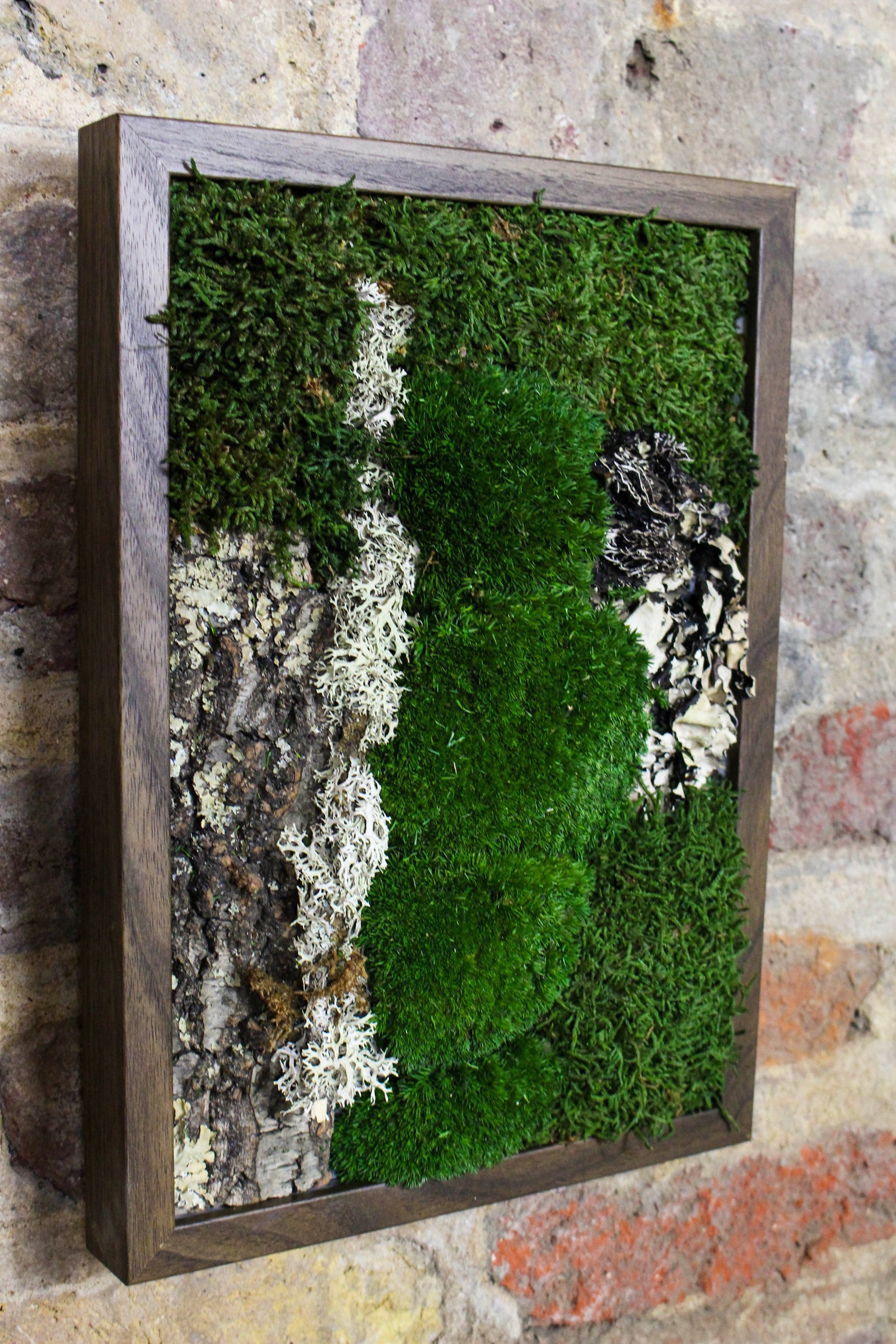 Preserved Moss Art - (Wooden Frame) A4 FR83