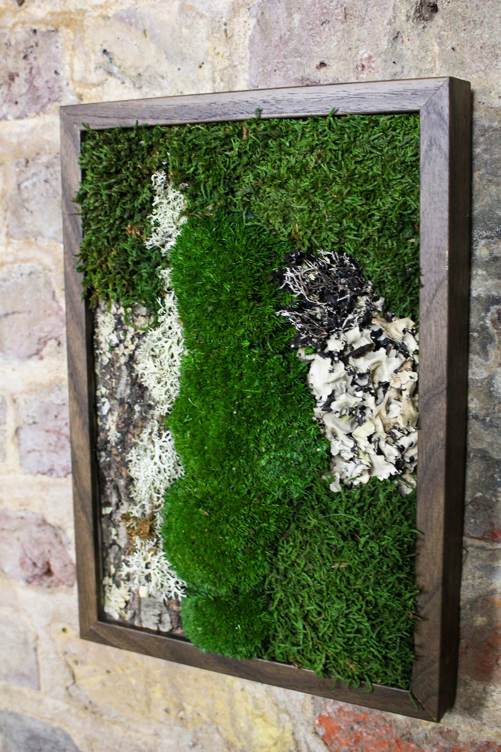 Preserved Moss Art - (Wooden Frame) A4 FR83
