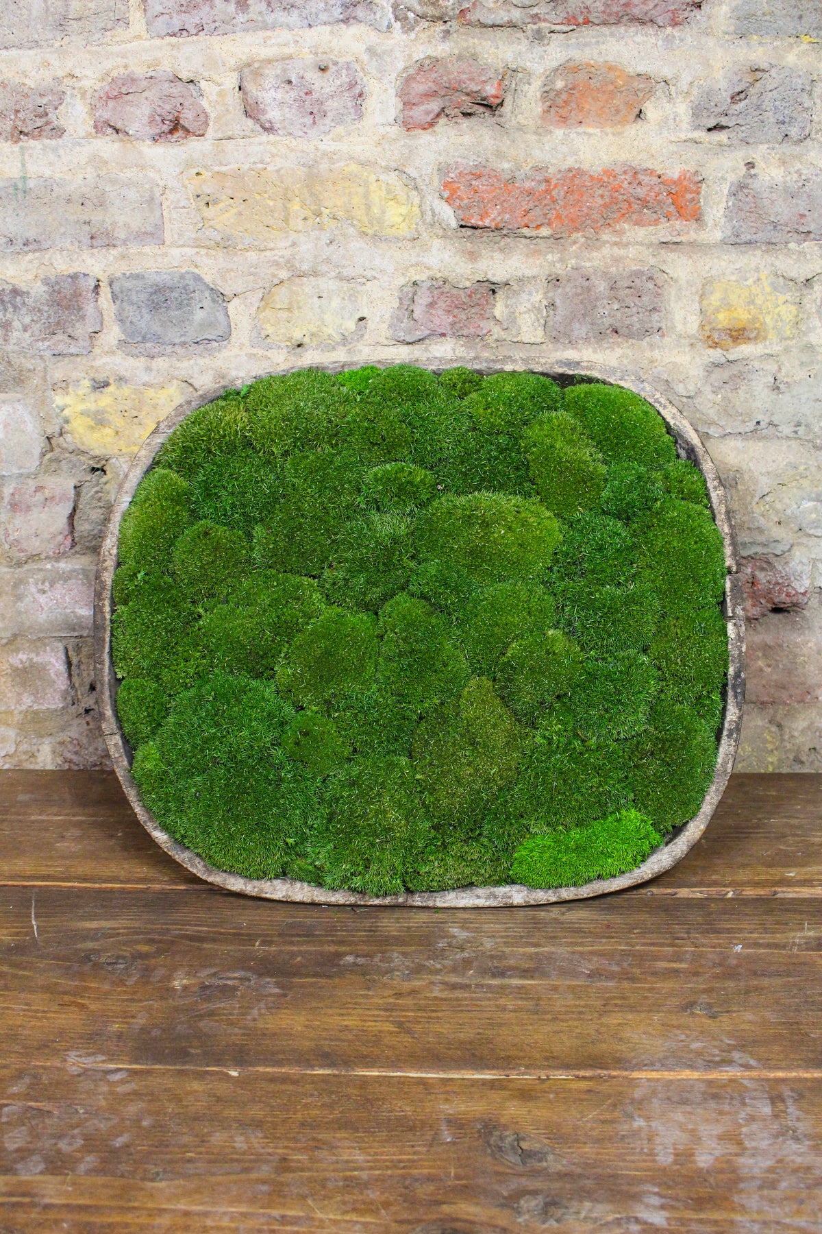 Vintage Moss Bowl FR84