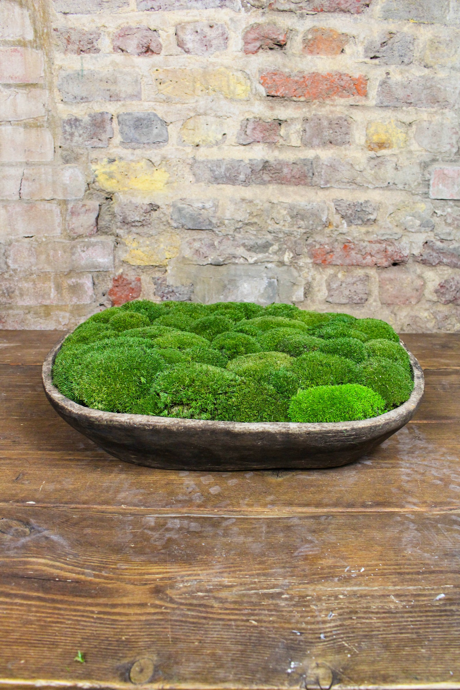 Vintage Moss Bowl FR84