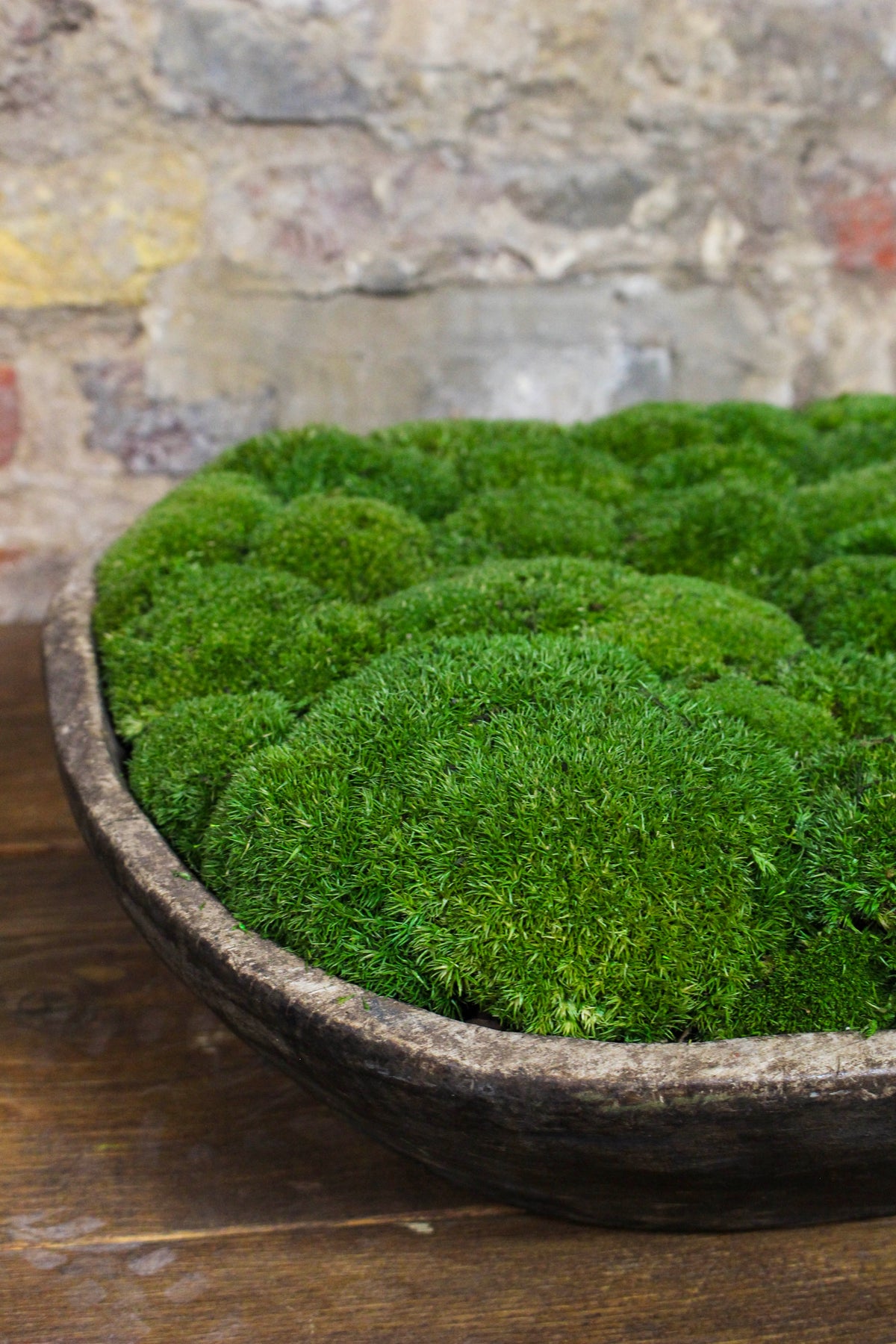 Vintage Moss Bowl FR84
