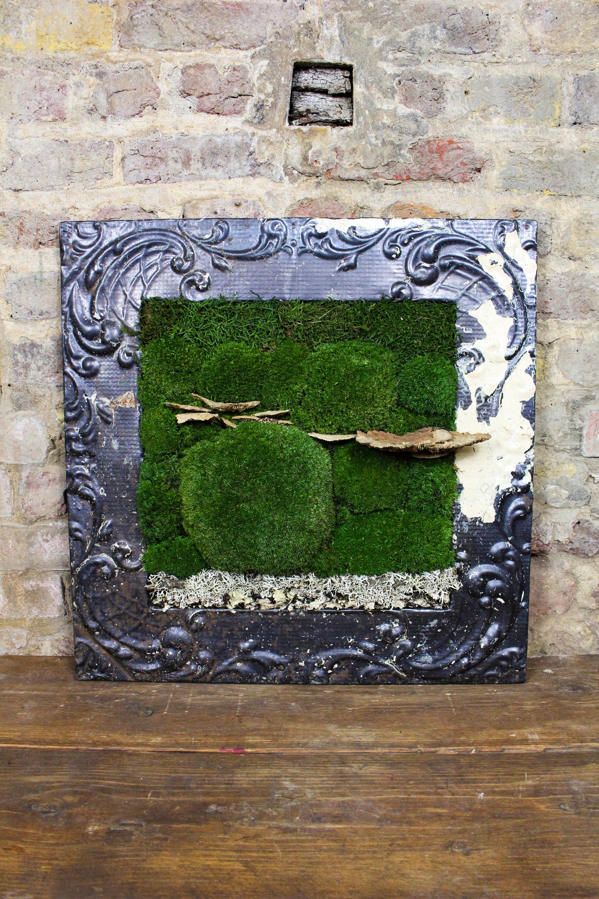 Preserved moss art in a reclaimed Victorian ceiling-press frame (FR84) — Botanical Boys
