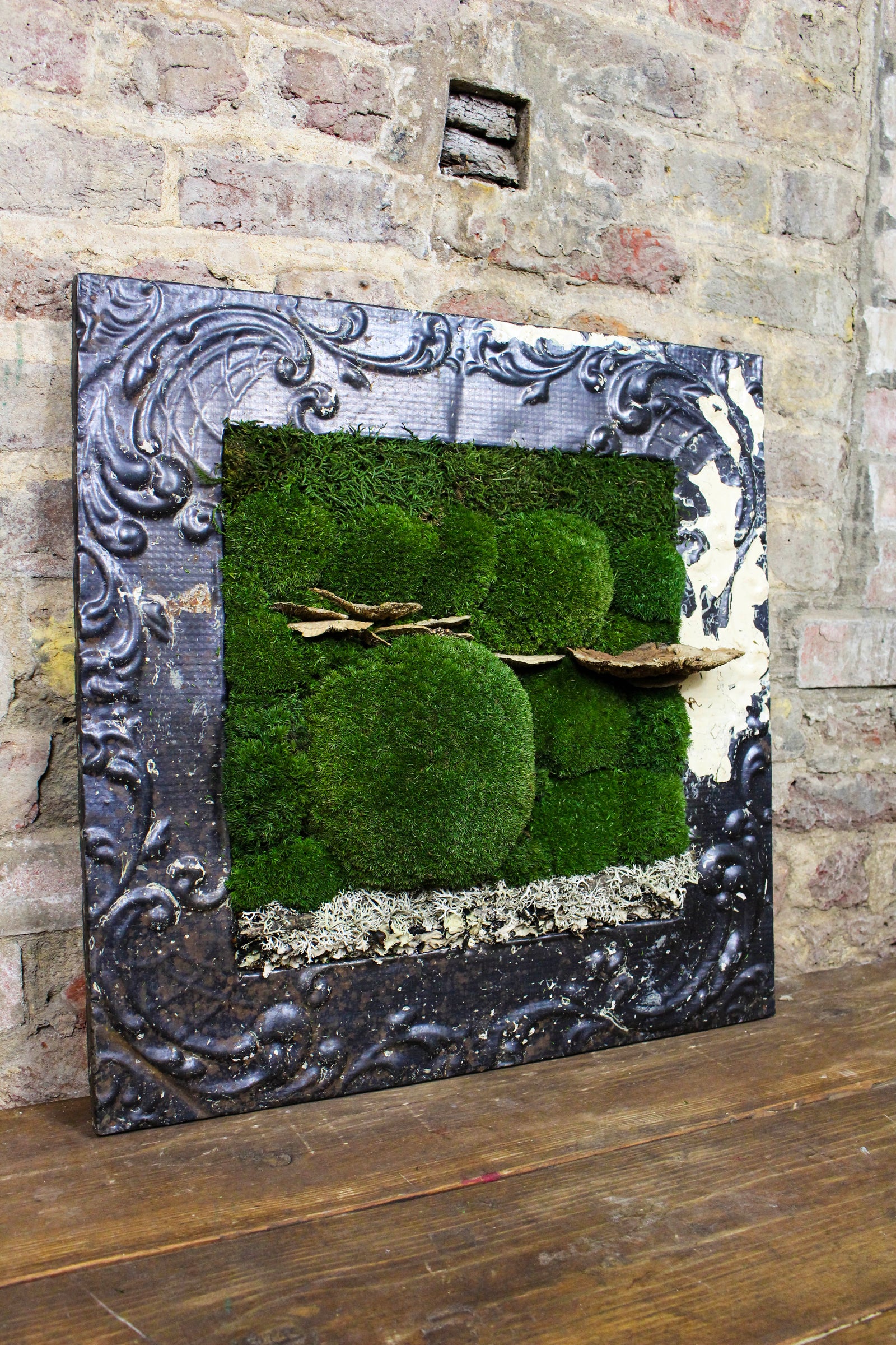 Detail of preserved bun moss and antique frame paintwork (FR84) — Botanical Boys