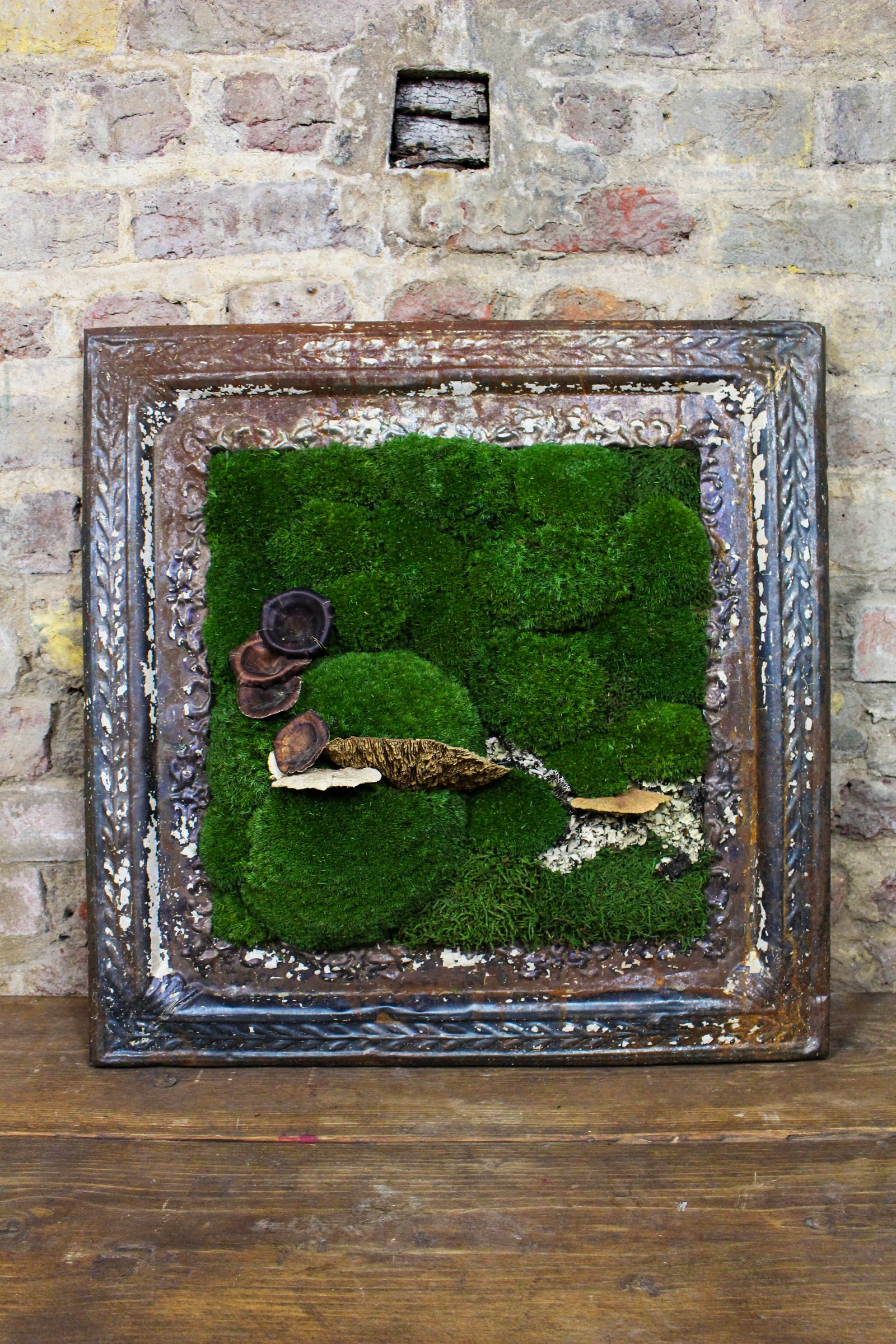 Preserved moss art in a reclaimed Victorian ceiling-press frame (FR85) — Botanical Boys