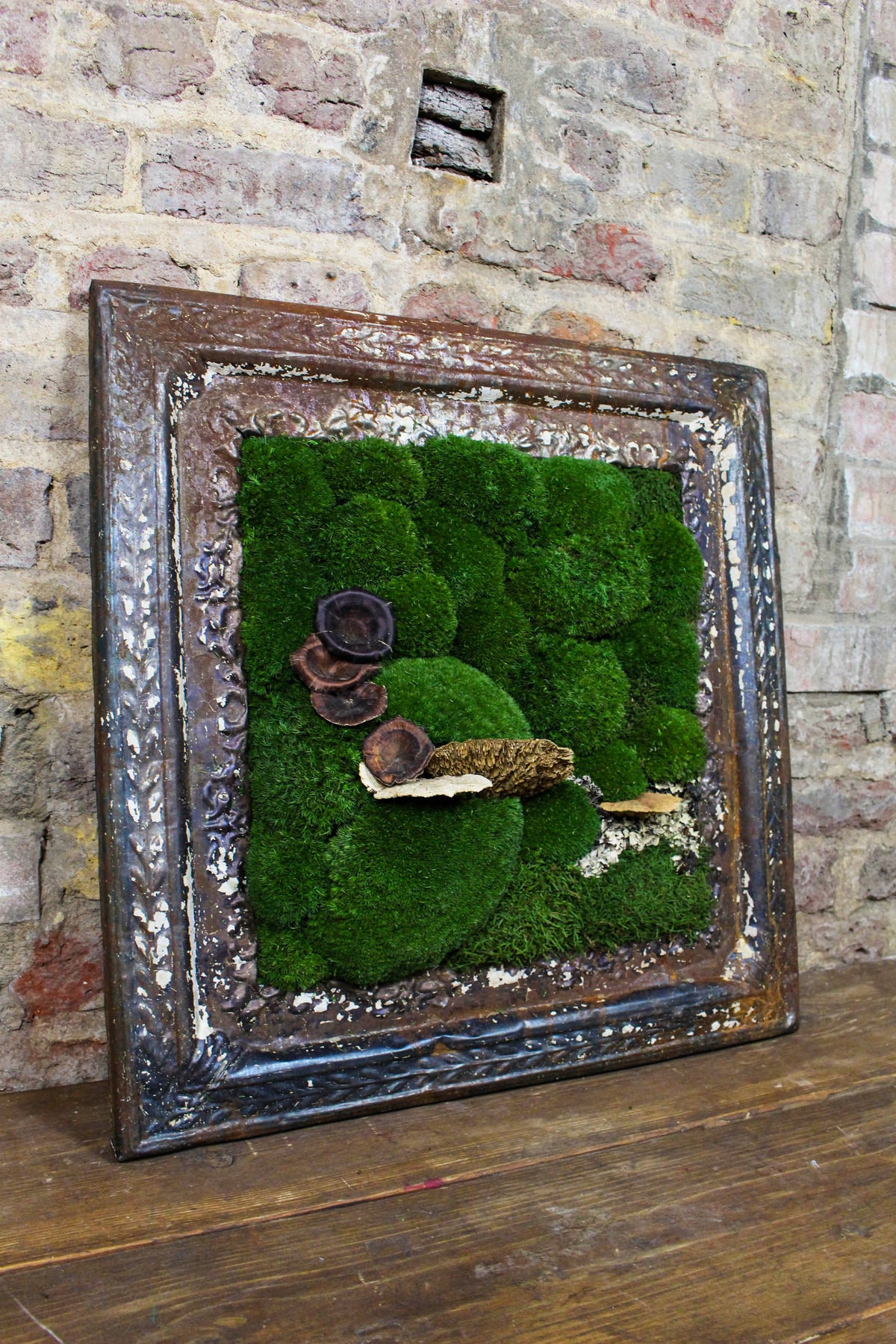 Angled view of the Victorian-framed moss artwork (FR85) — Botanical Boys