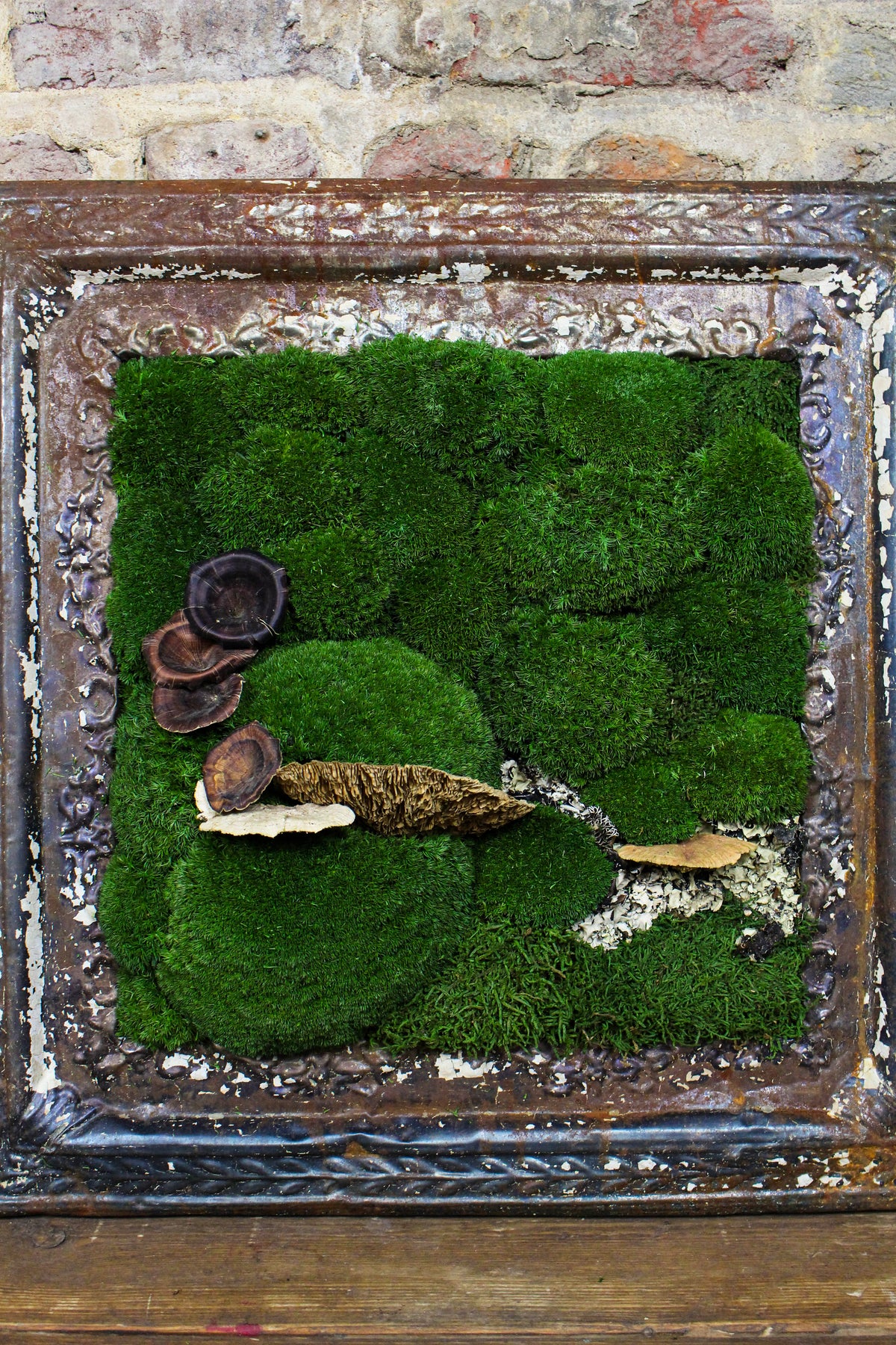 Detail of preserved bun moss and antique frame paintwork (FR85) — Botanical Boys