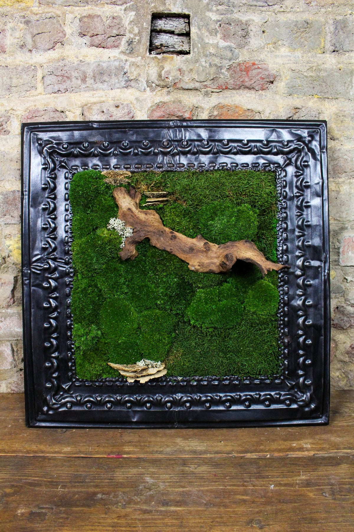 Preserved moss art in a reclaimed Victorian ceiling-press frame (FR86) — Botanical Boys