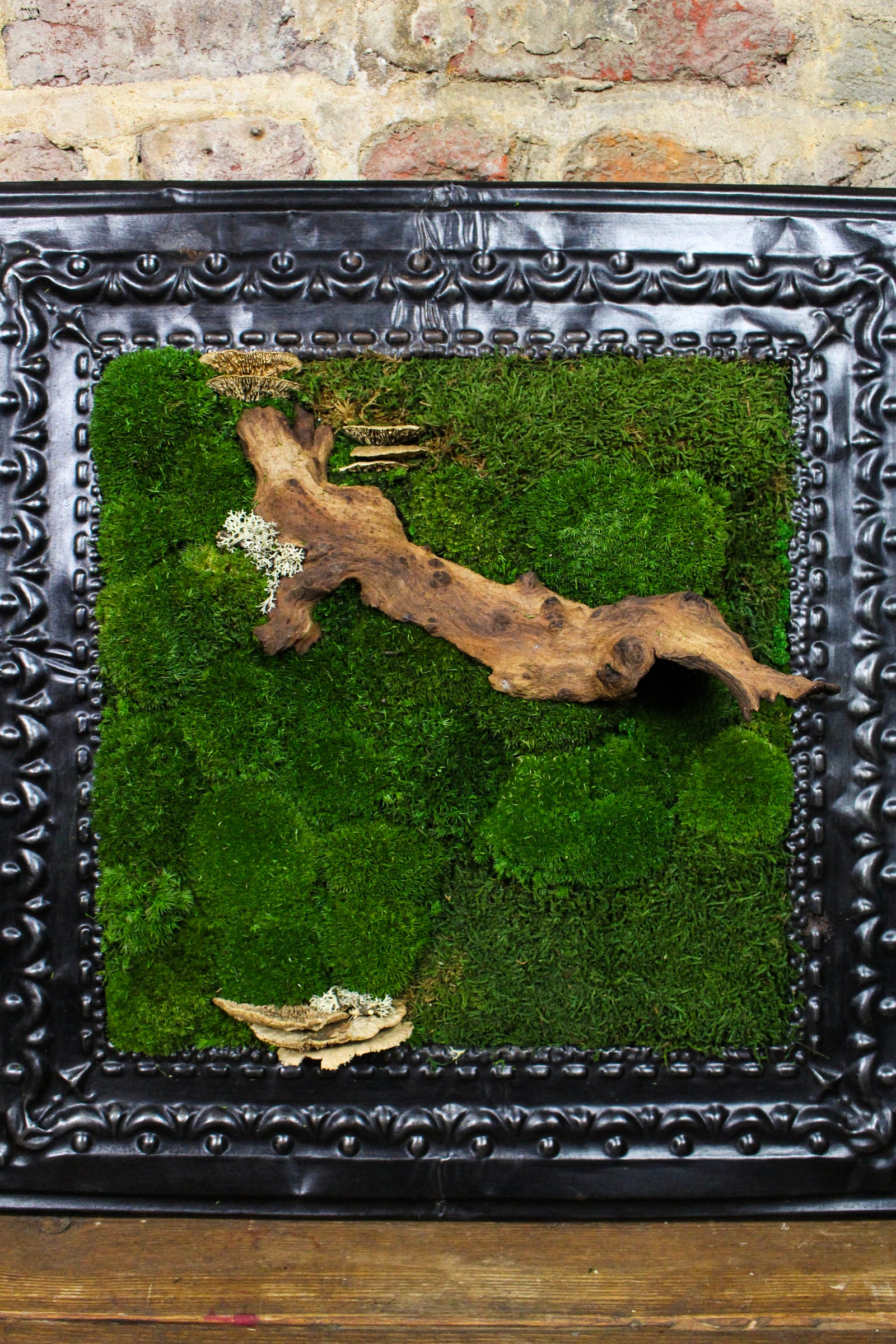 Detail of preserved bun moss and antique frame paintwork (FR86) — Botanical Boys