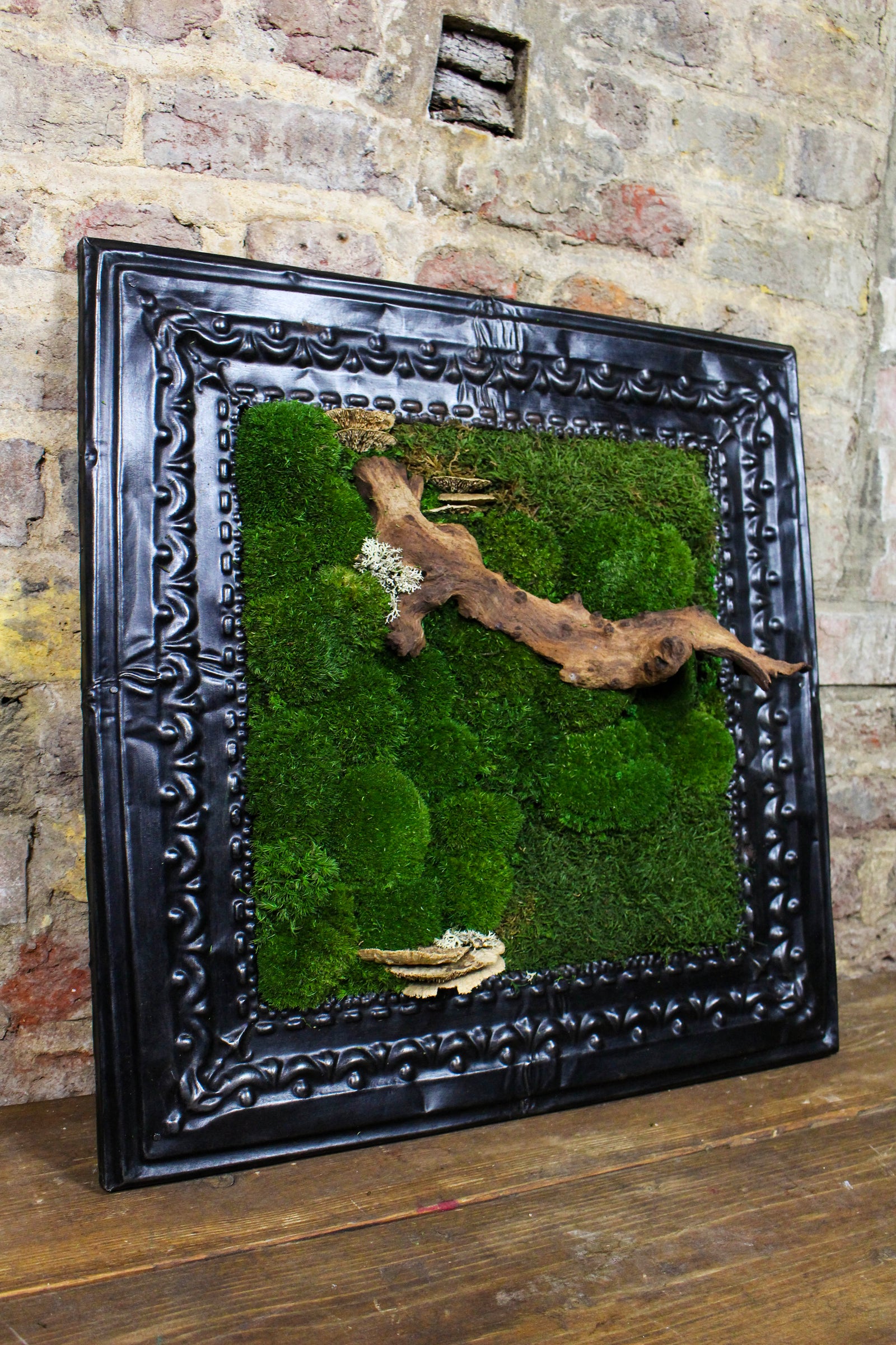Angled view of the Victorian-framed moss artwork (FR86) — Botanical Boys