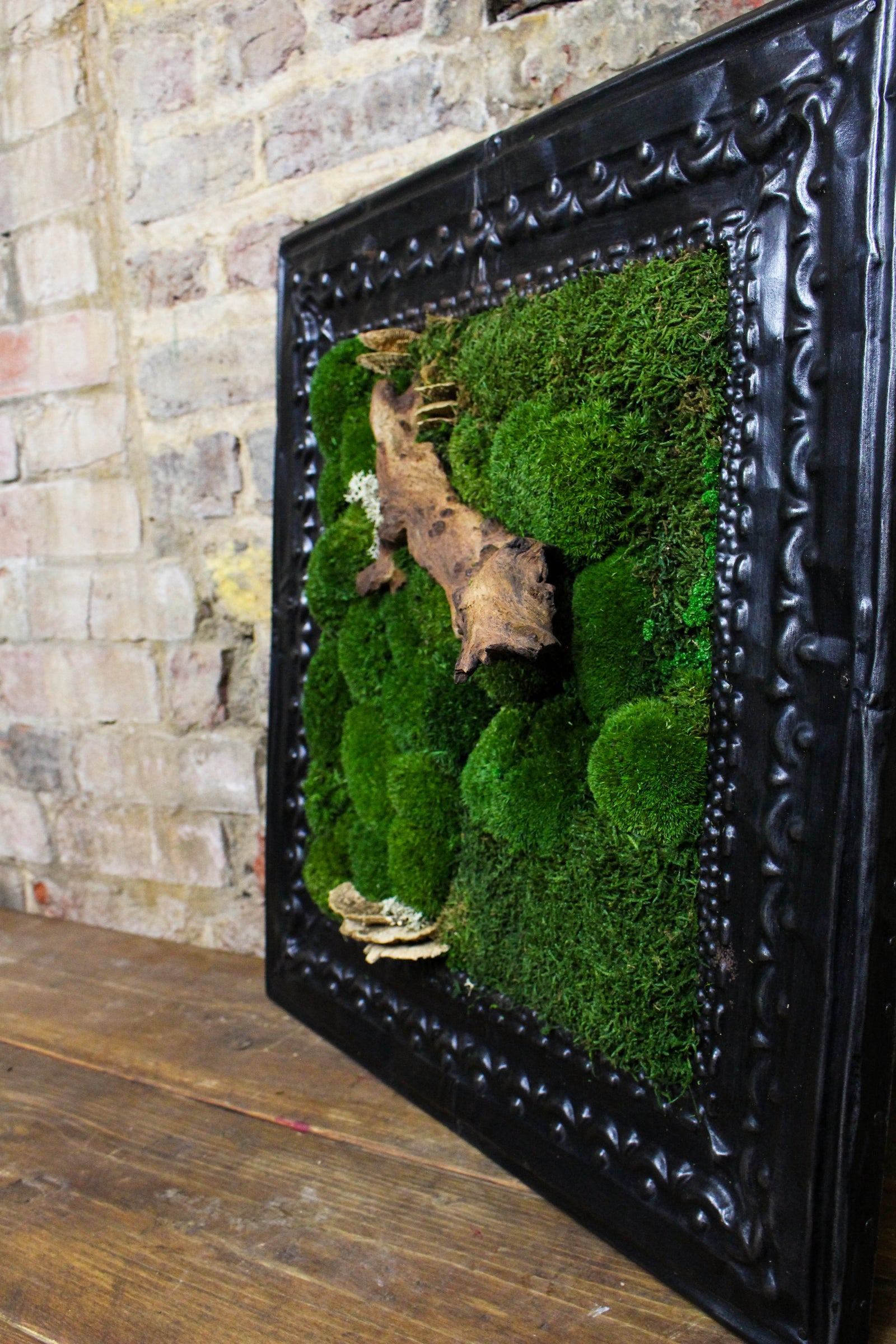 Victorian-framed moss art styled on the wall (FR86) — Botanical Boys