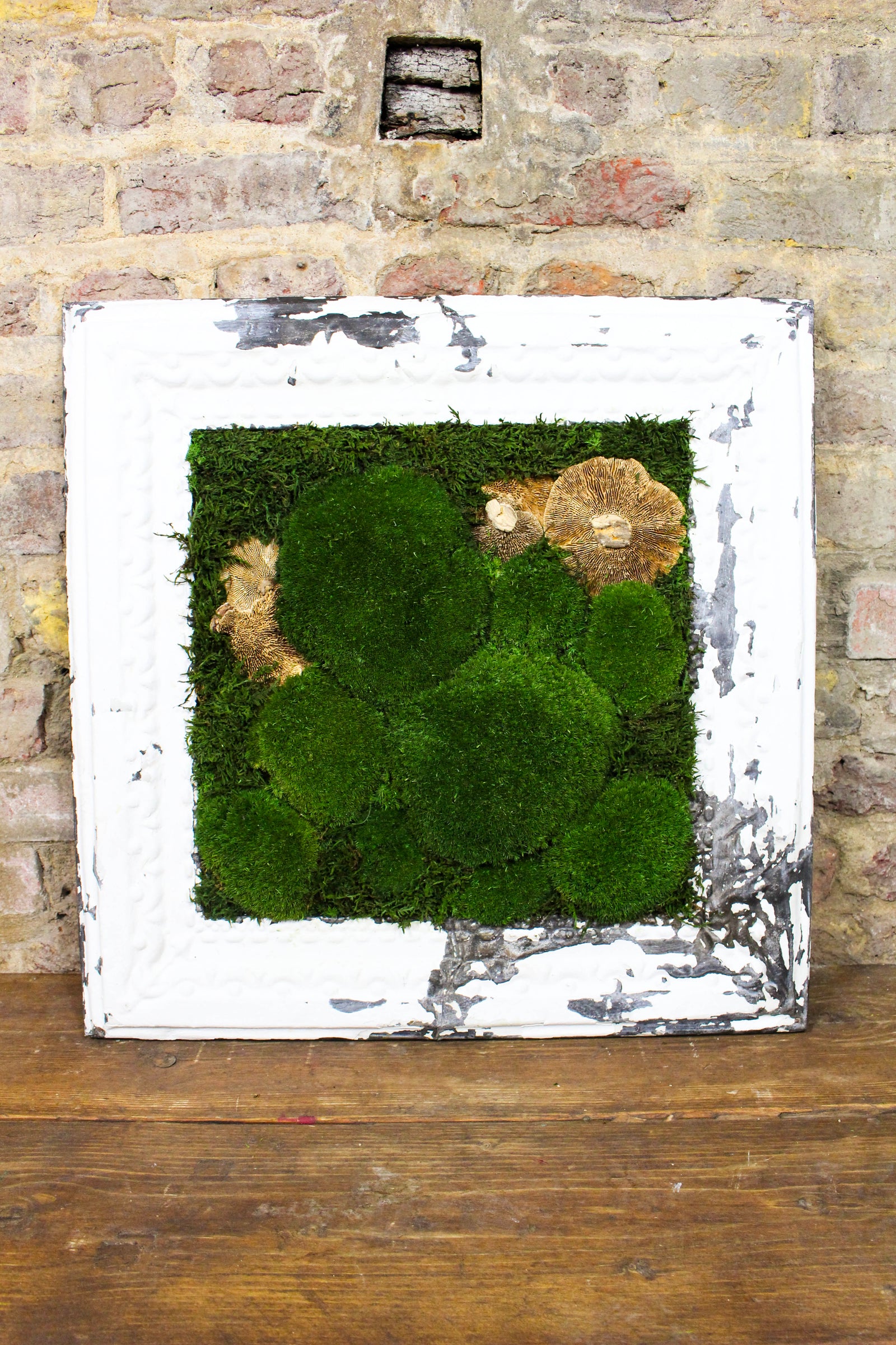 Preserved moss art in a reclaimed Victorian ceiling-press frame (FR87) — Botanical Boys