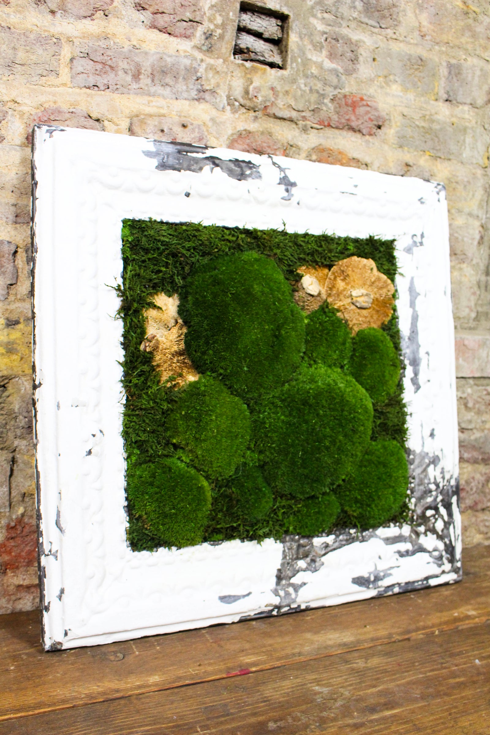 Angled view of the Victorian-framed moss artwork (FR87) — Botanical Boys