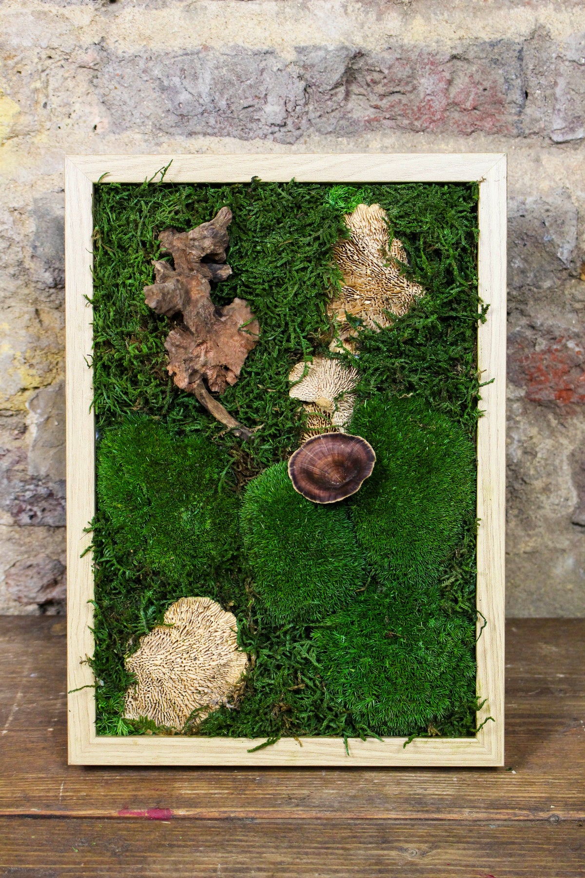 Preserved bun moss wall art in a natural wood frame (FR88) — Botanical Boys