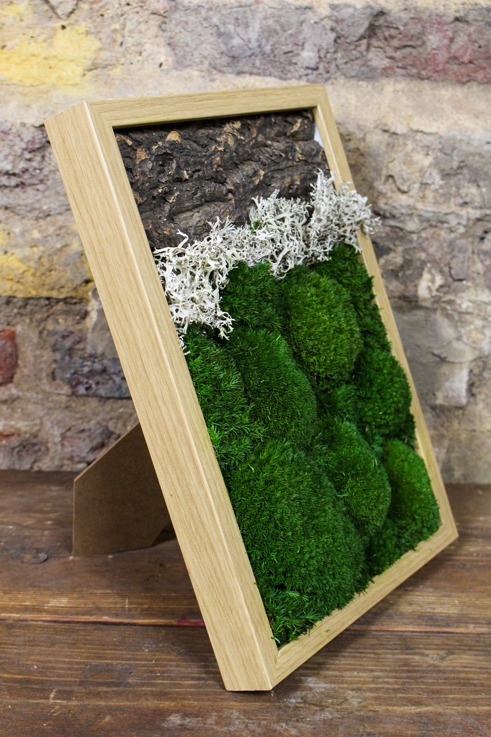 Angled view of the framed preserved moss artwork (FR89) — Botanical Boys