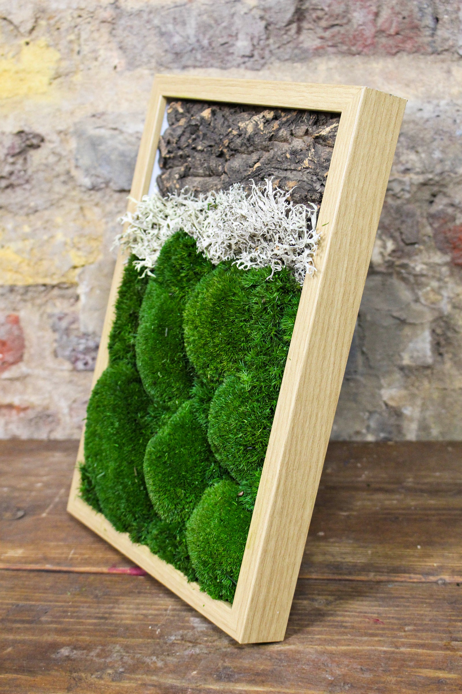 Preserved moss wall art styled in the home (FR89) — Botanical Boys