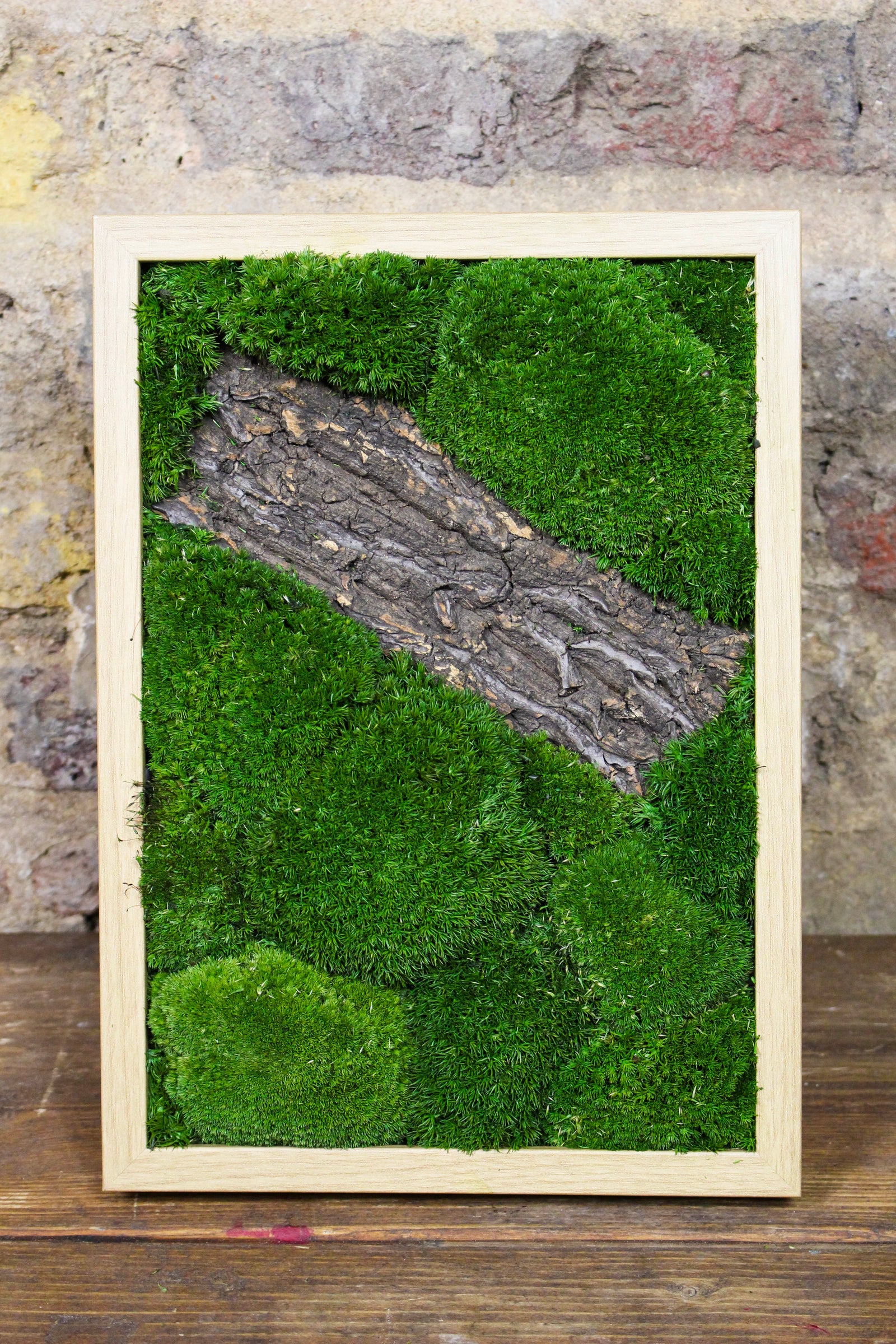 Preserved bun moss wall art in a natural wood frame (FR90) — Botanical Boys