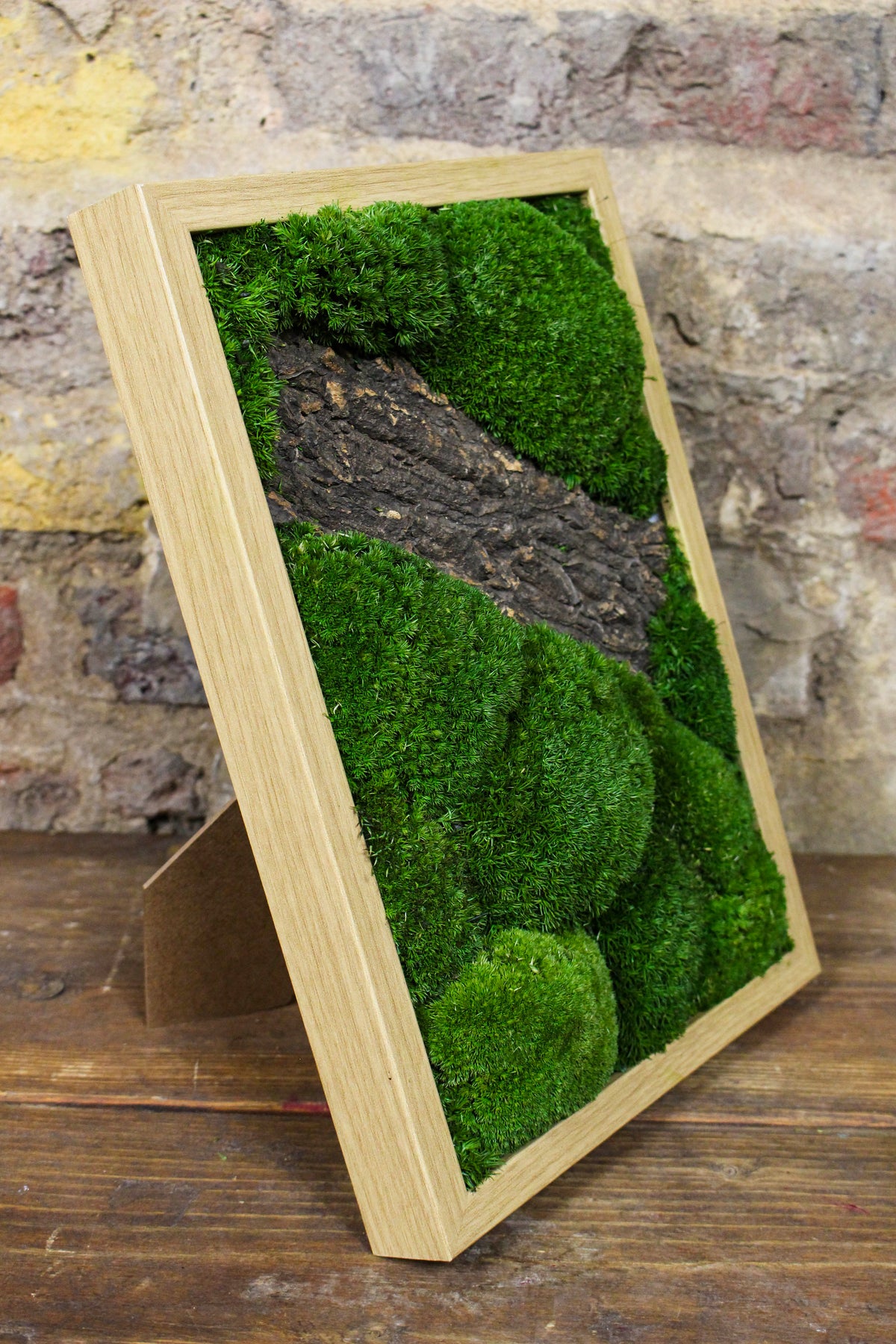 Angled view of the framed preserved moss artwork (FR90) — Botanical Boys