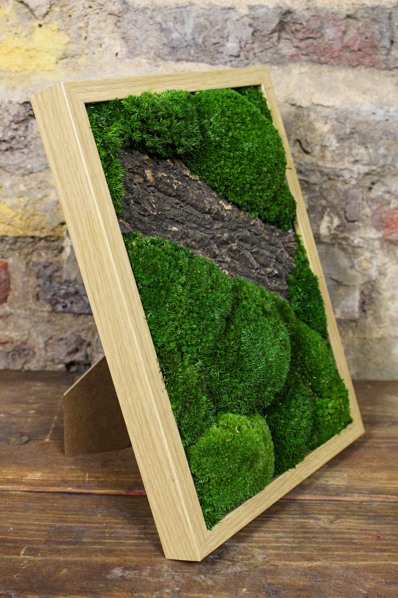 Angled view of the framed preserved moss artwork (FR90) — Botanical Boys