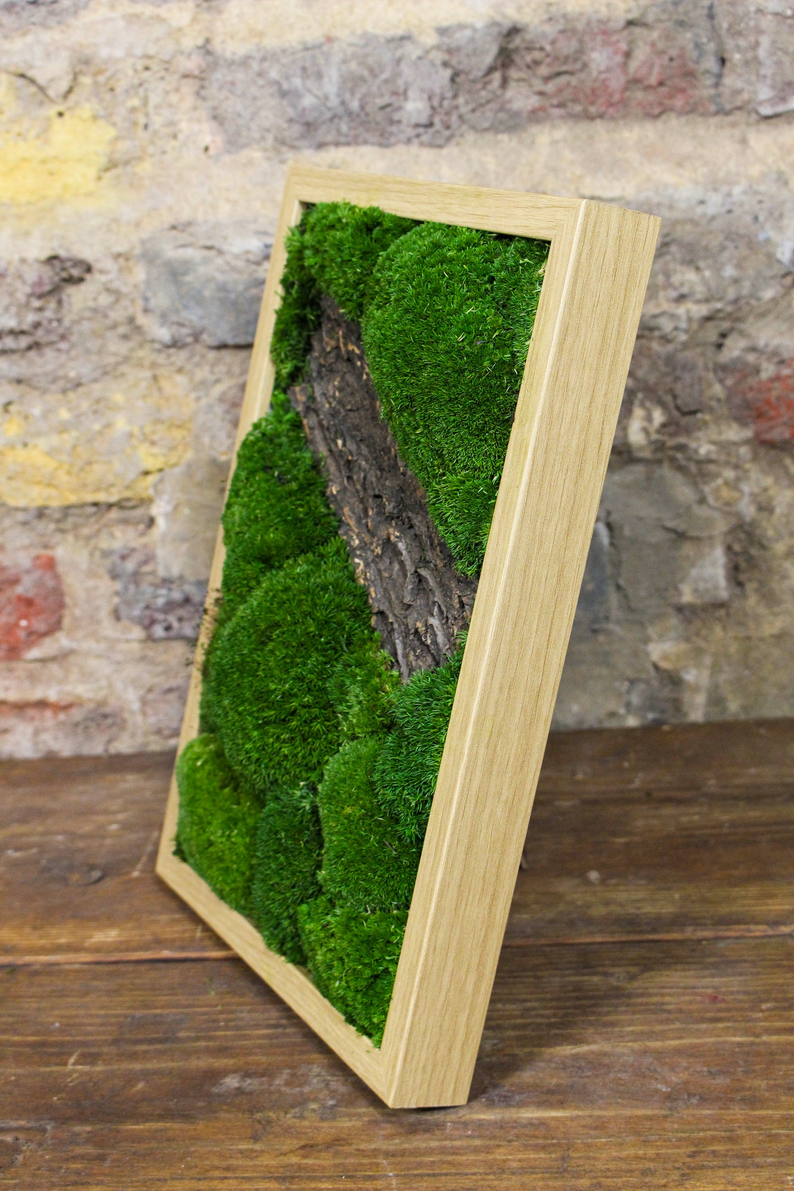 Preserved moss wall art styled in the home (FR90) — Botanical Boys
