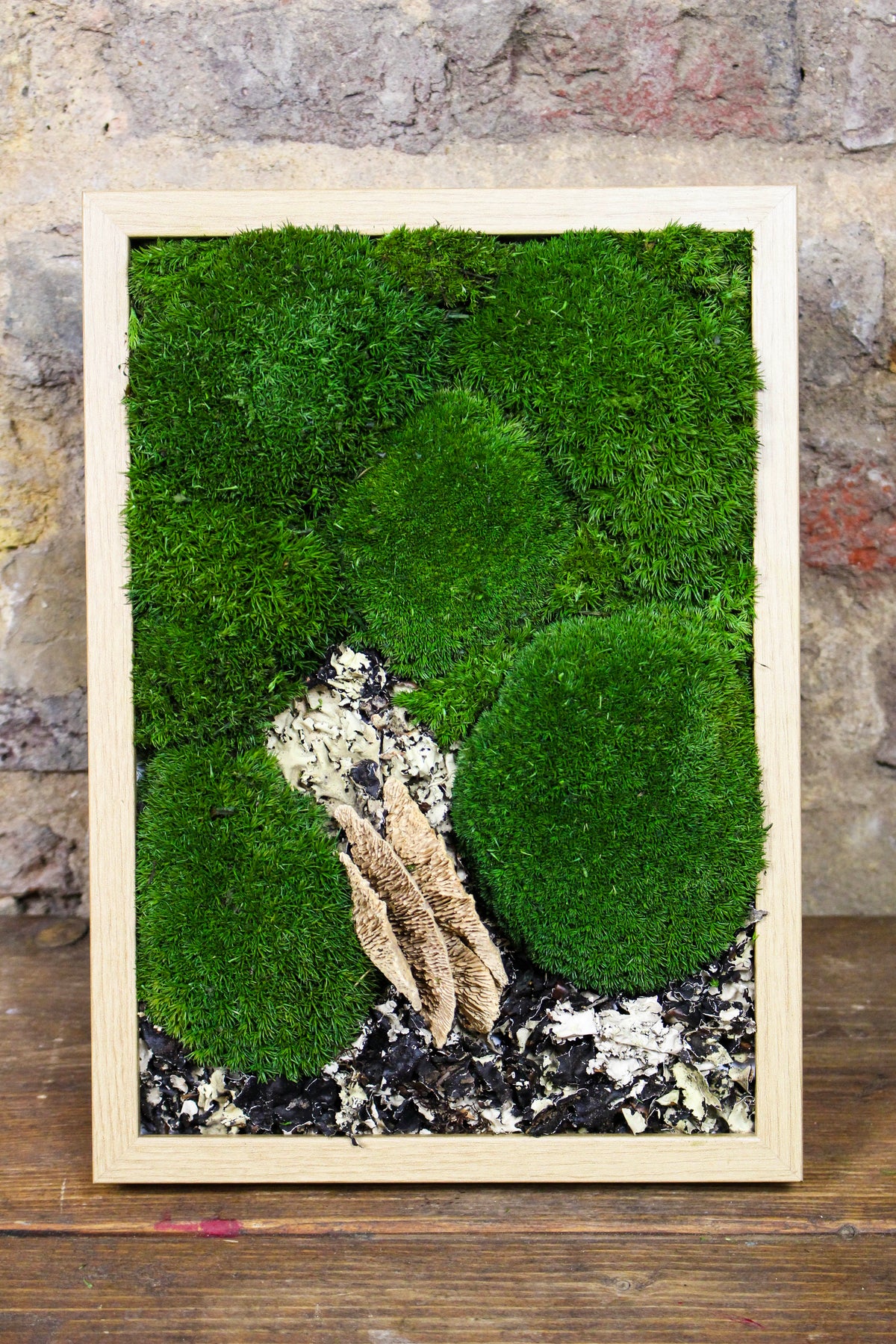 Preserved bun moss wall art in a natural wood frame (FR91) — Botanical Boys