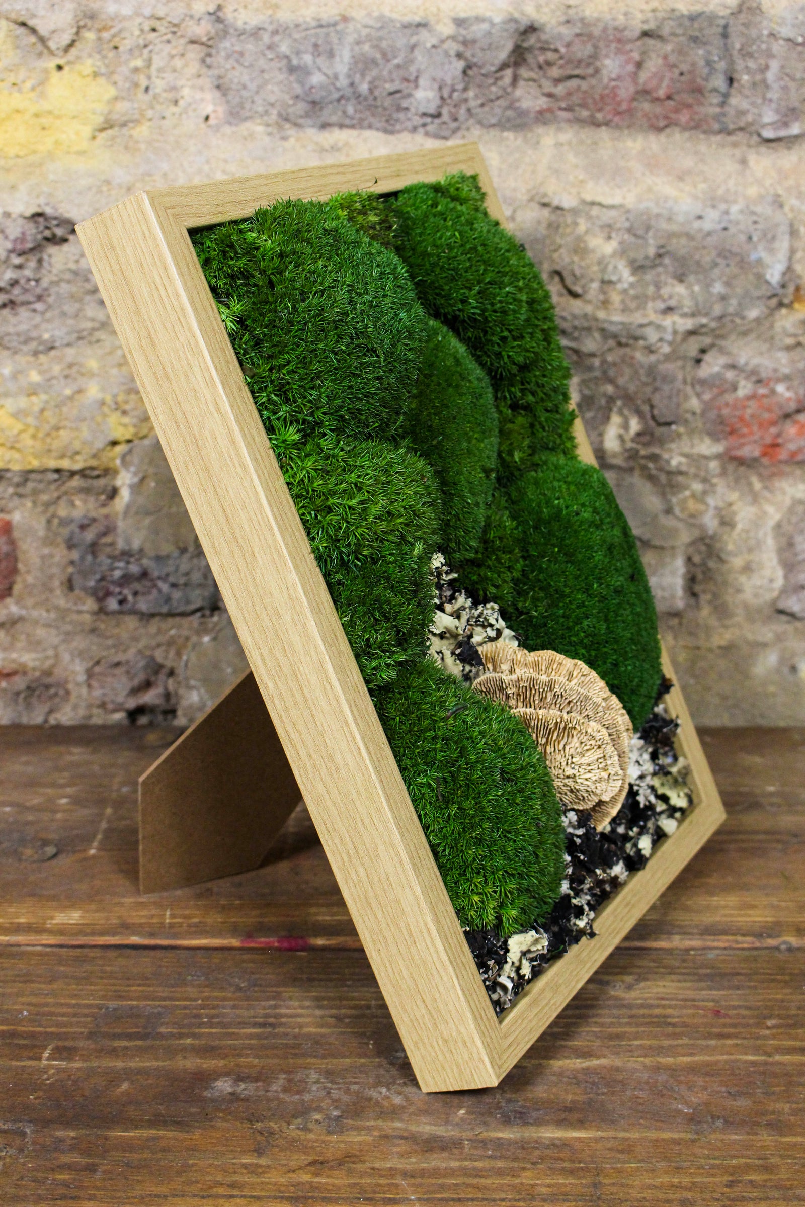 Angled view of the framed preserved moss artwork (FR91) — Botanical Boys