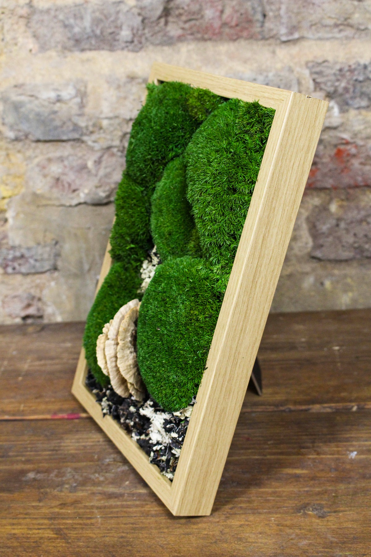Preserved moss wall art styled in the home (FR91) — Botanical Boys