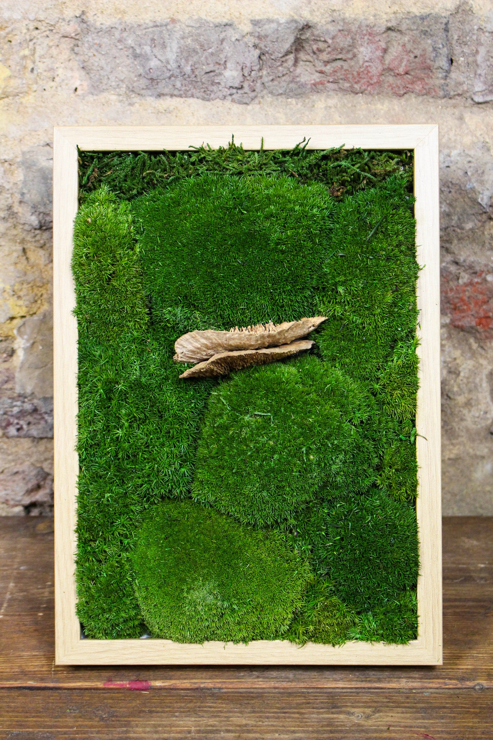 Preserved bun moss wall art in a natural wood frame (FR92) — Botanical Boys