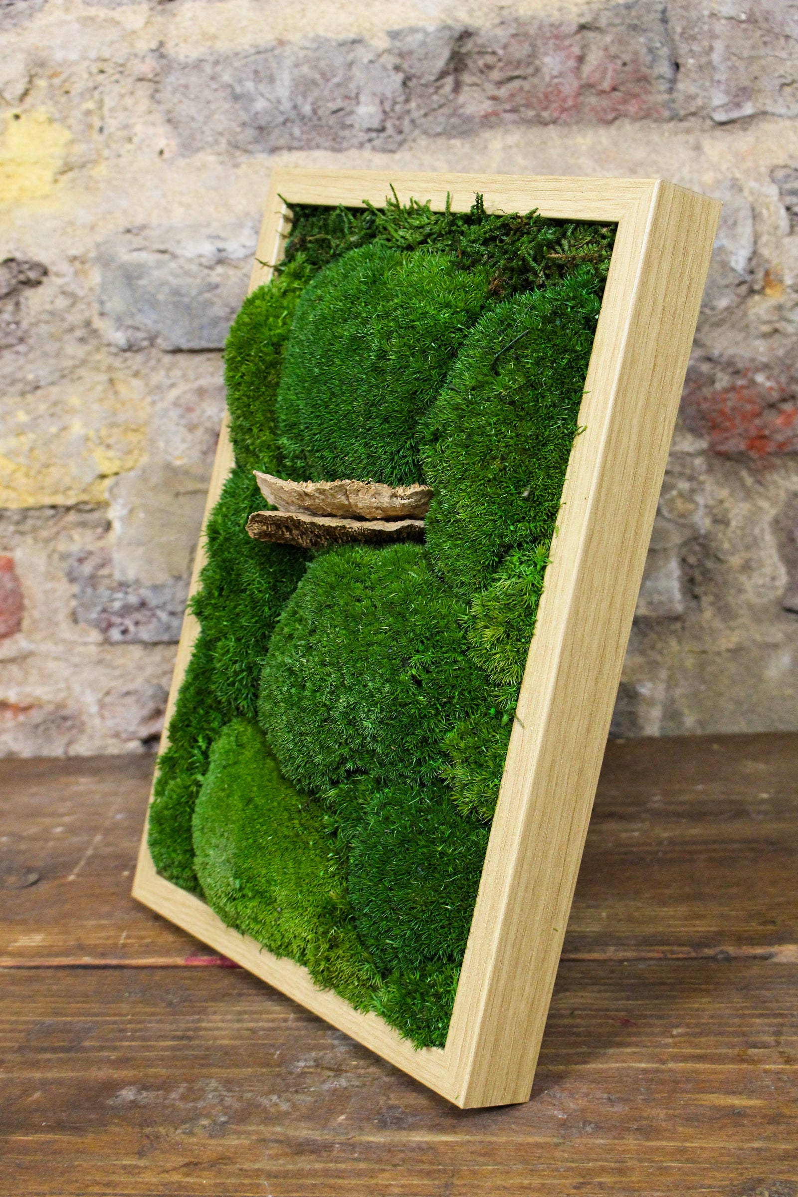 Preserved moss wall art styled in the home (FR92) — Botanical Boys