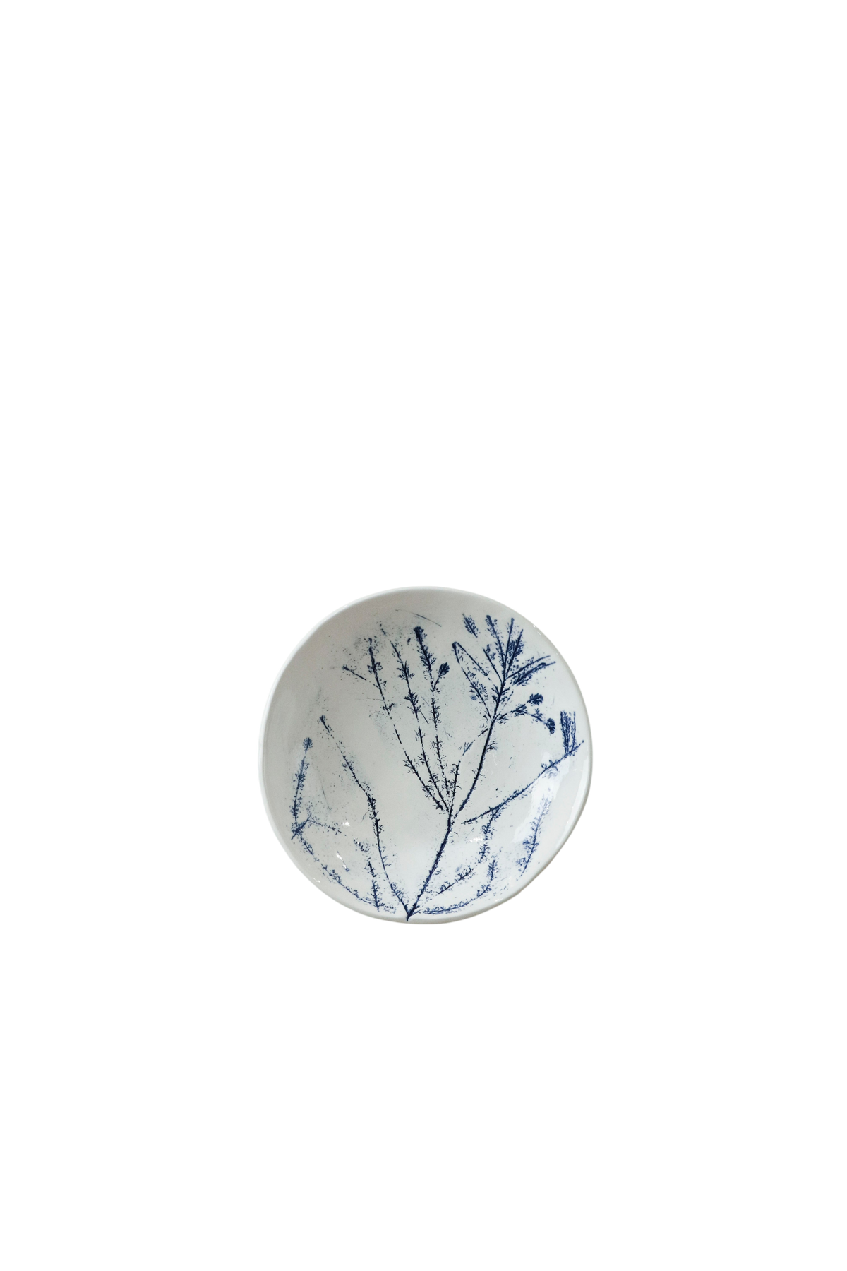 Cobalt Blue Fynbos Ceramic Plate - n°6
