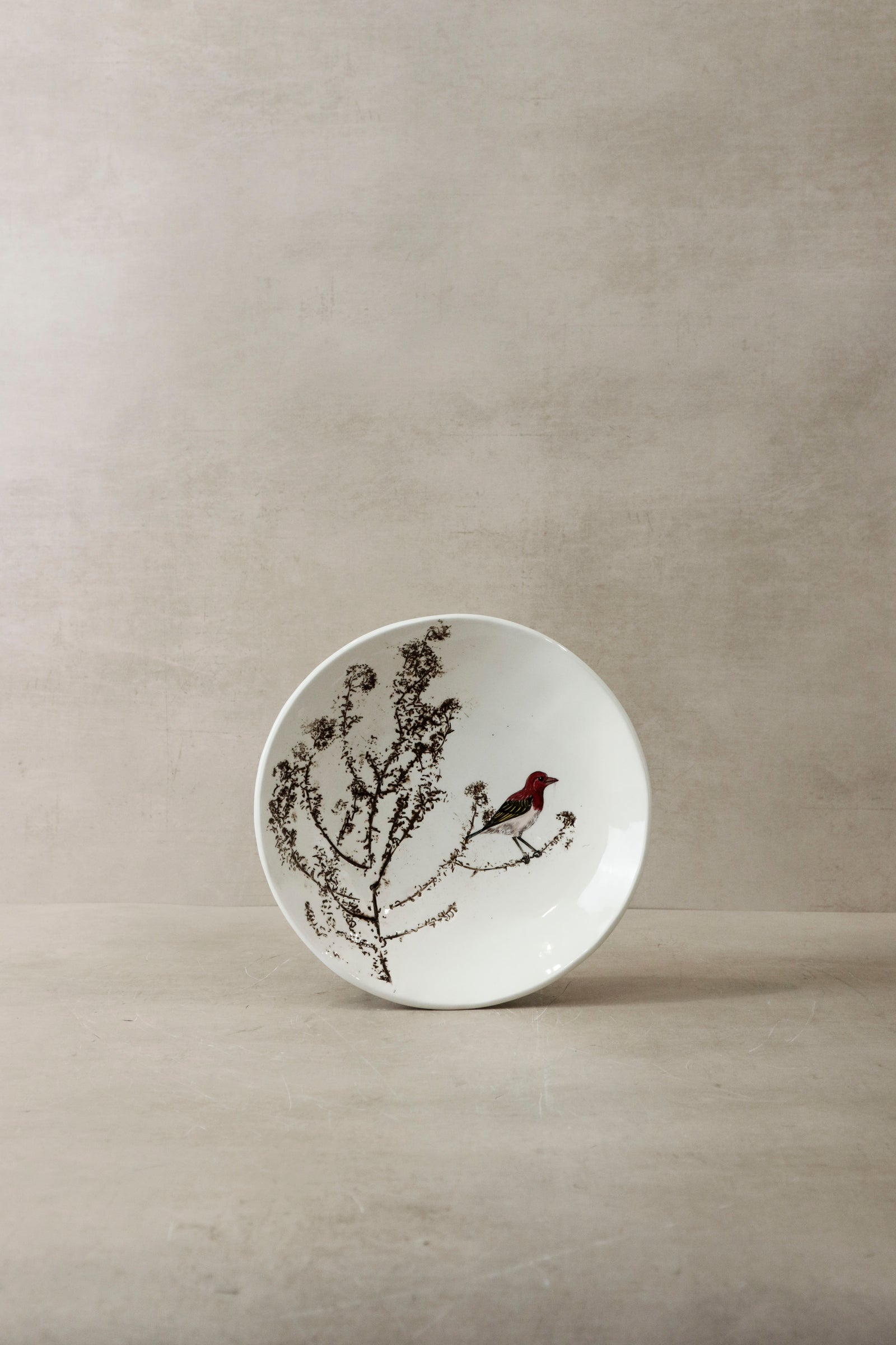 Fynbos & Bird ceramic plate n°19