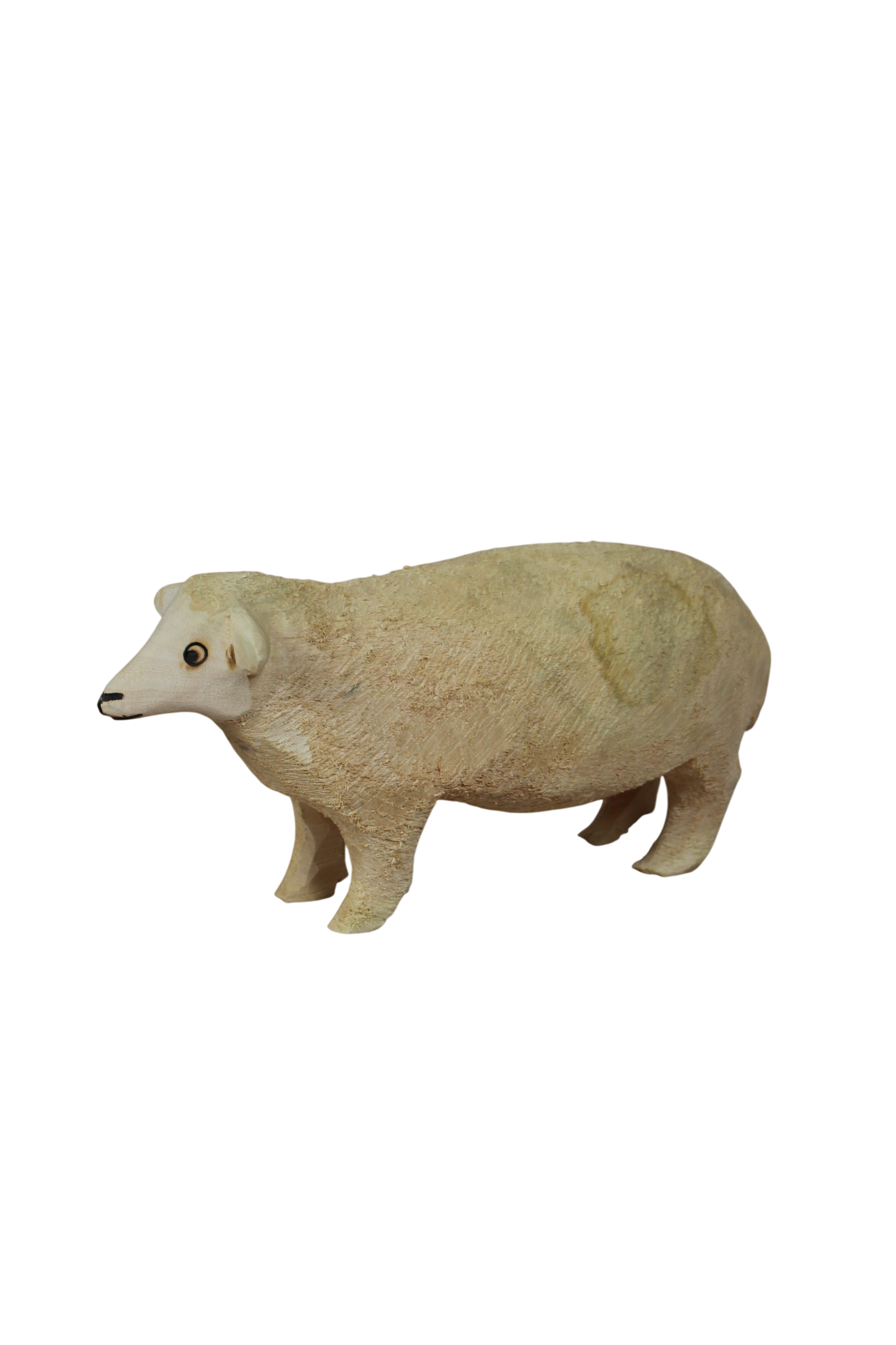 Swazi Sheep 141.1