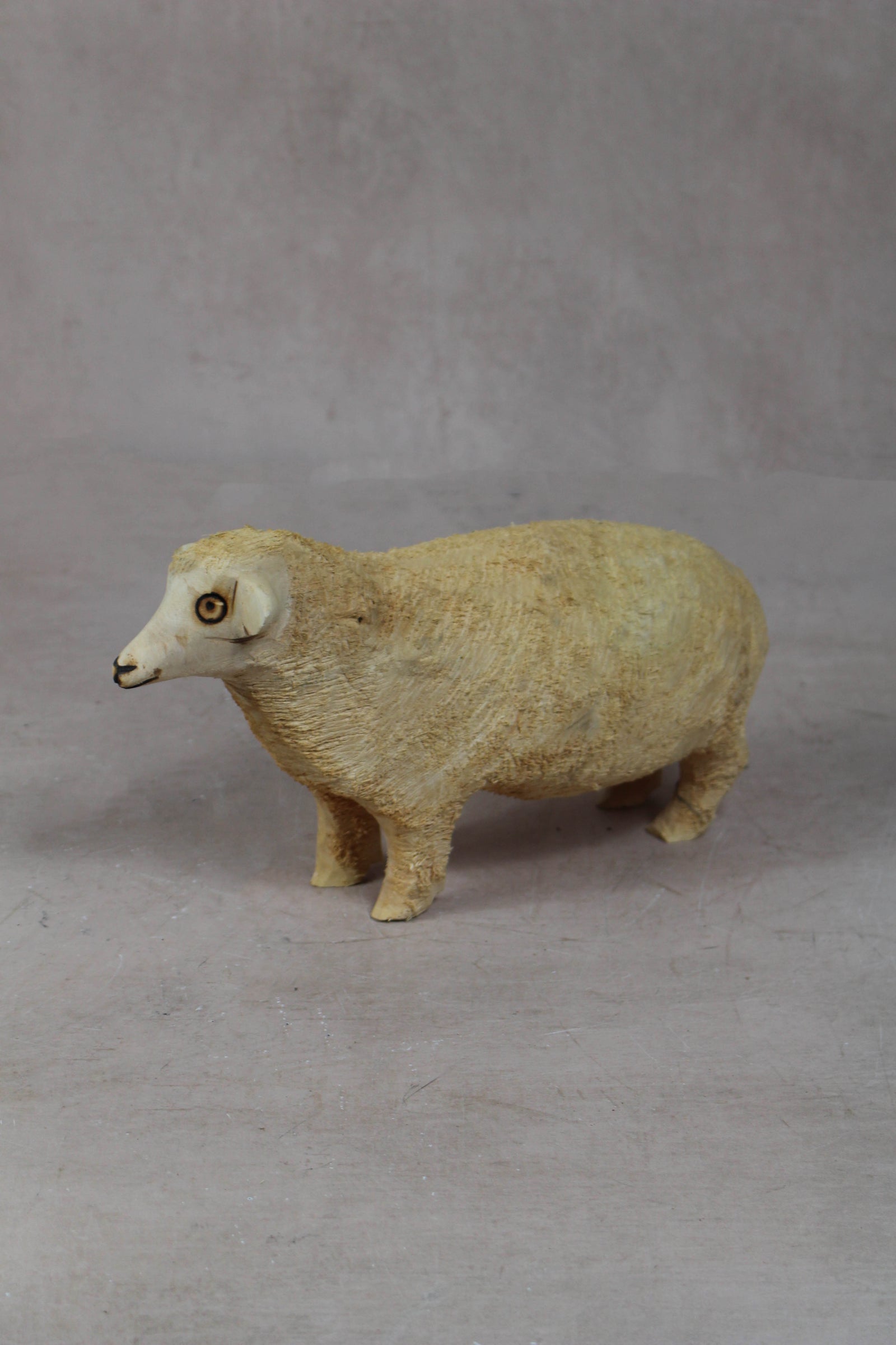 Swazi Sheep 141.3
