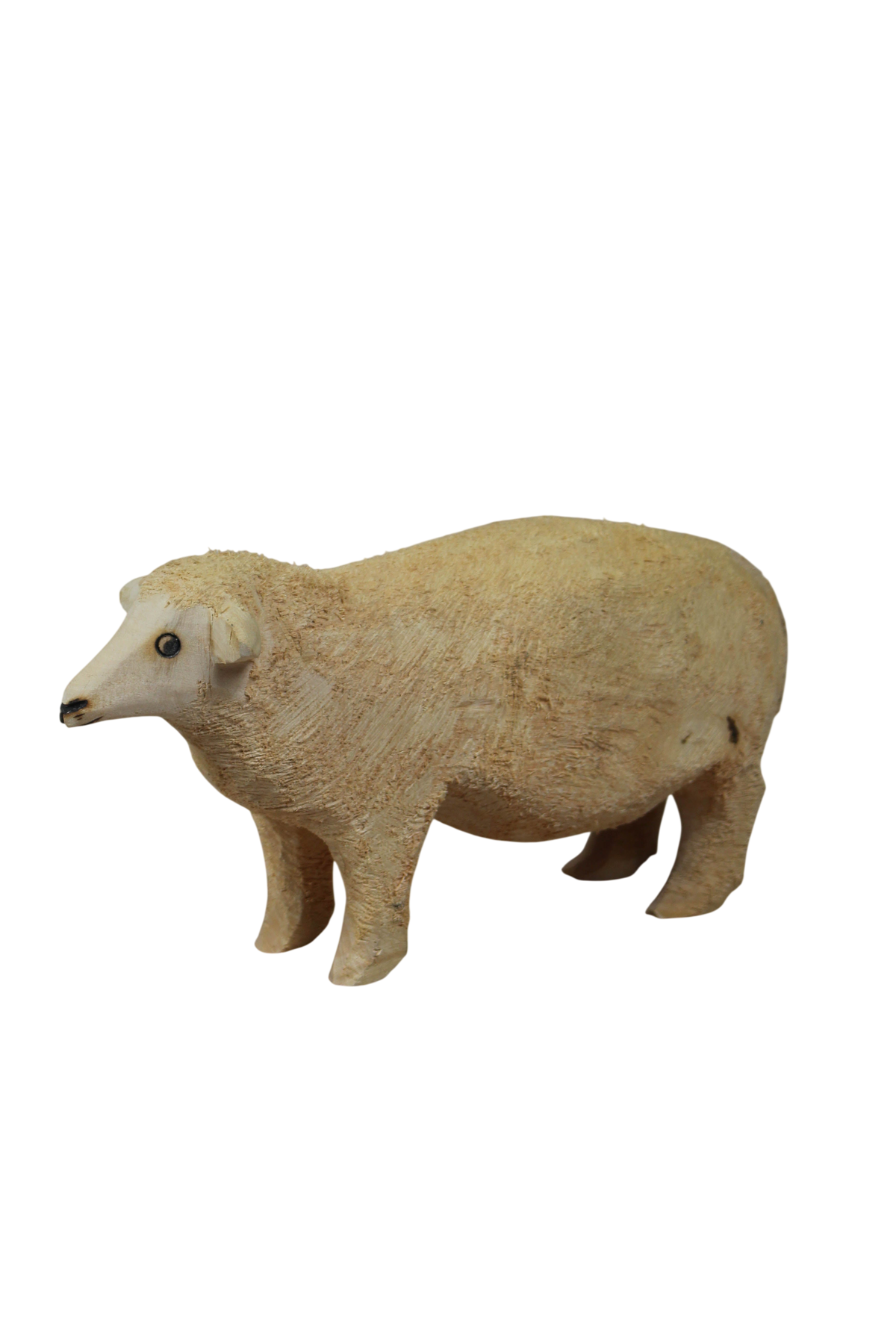 Swazi Sheep 141.4