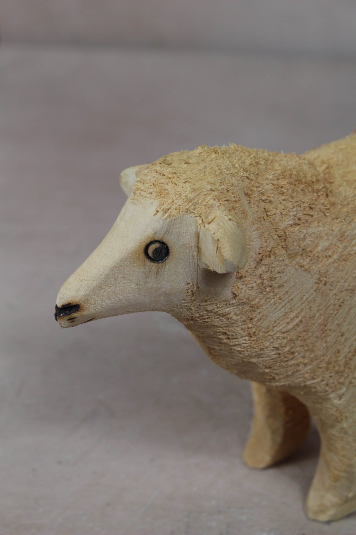 Swazi Sheep 141.4