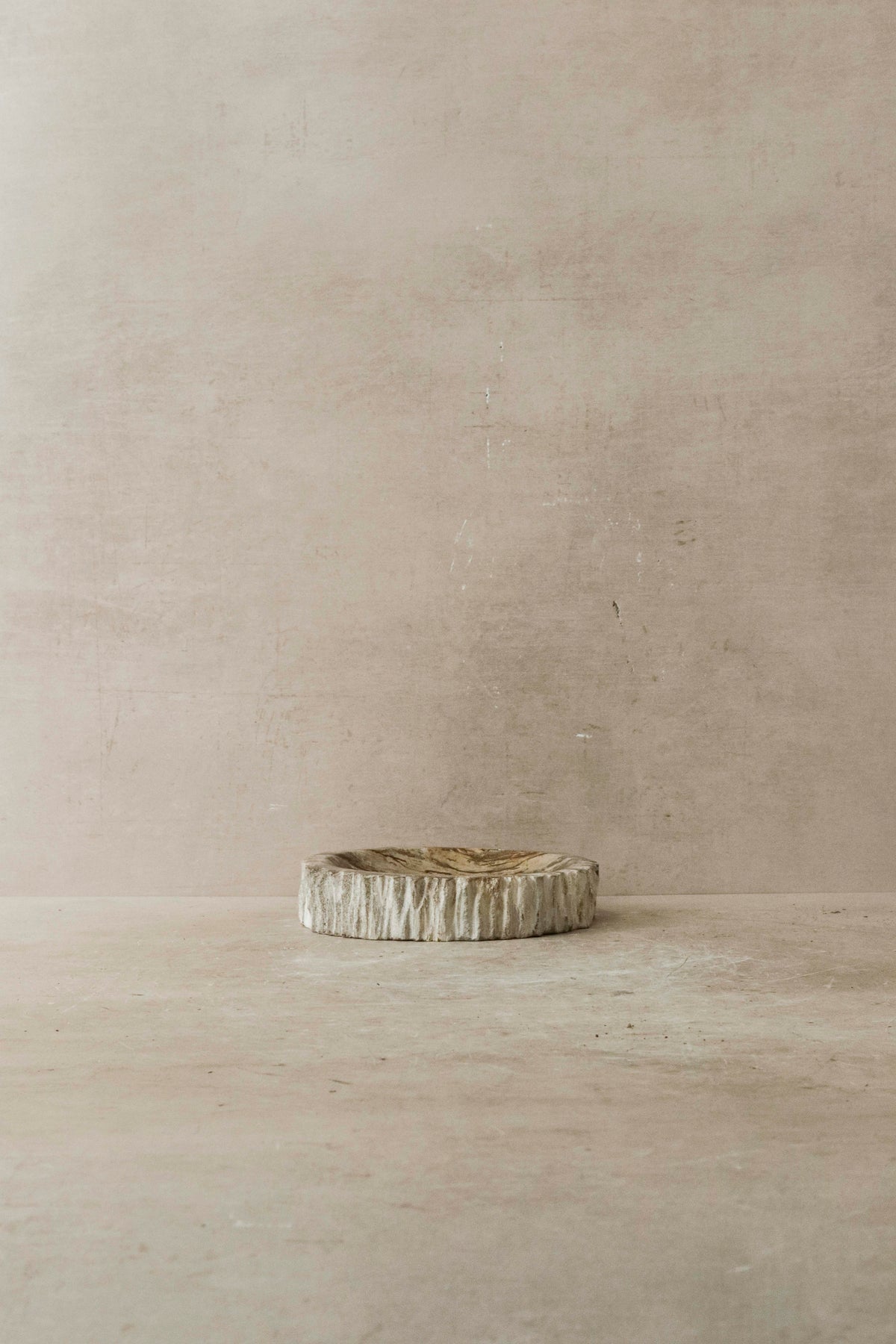 Petrified Wood Tray - 2