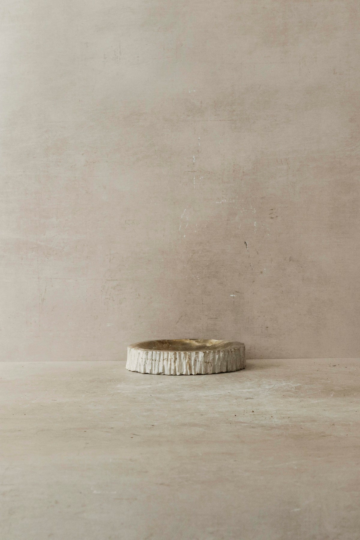 Petrified Wood Tray - 4