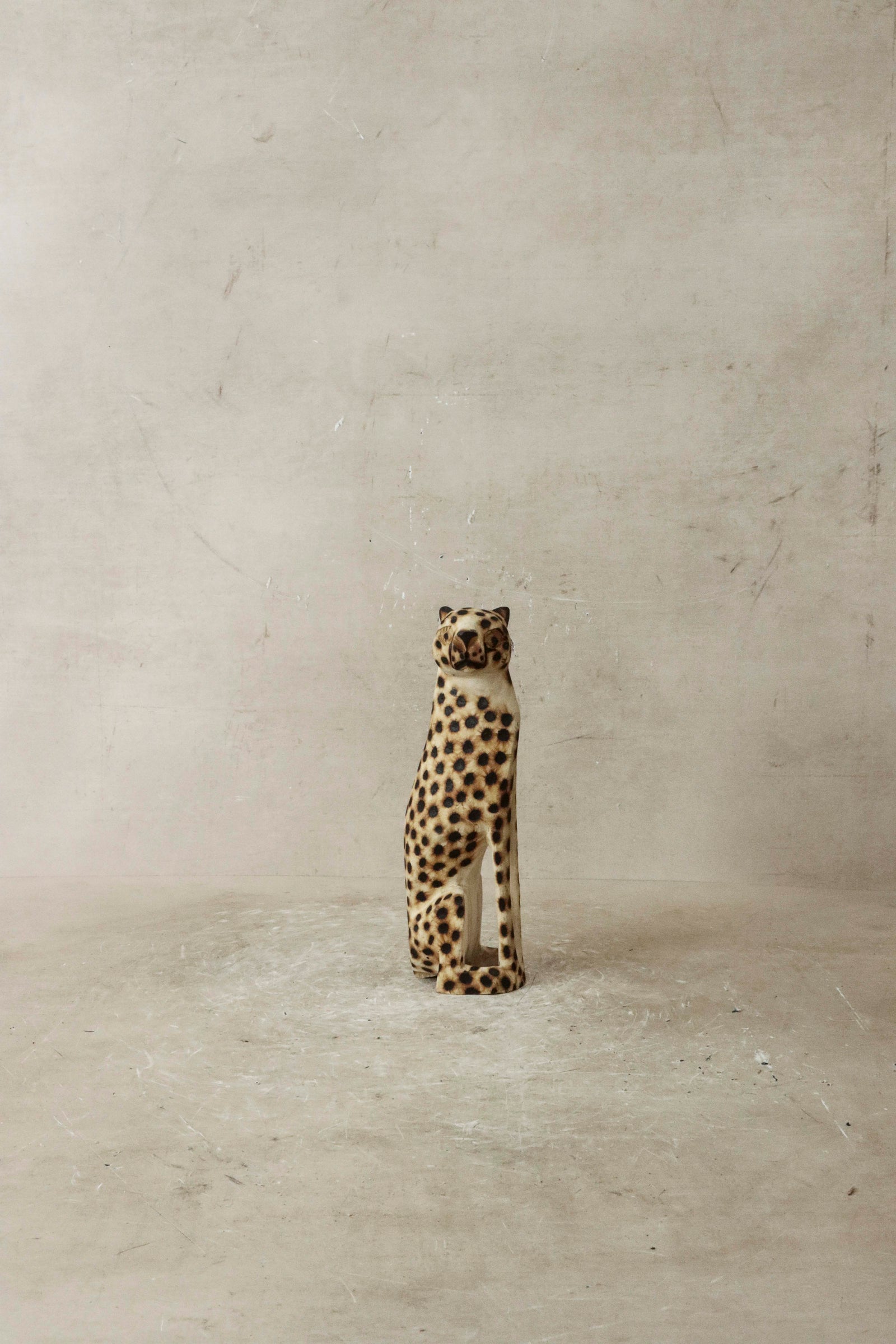 Swazi Cheetah - 35.1