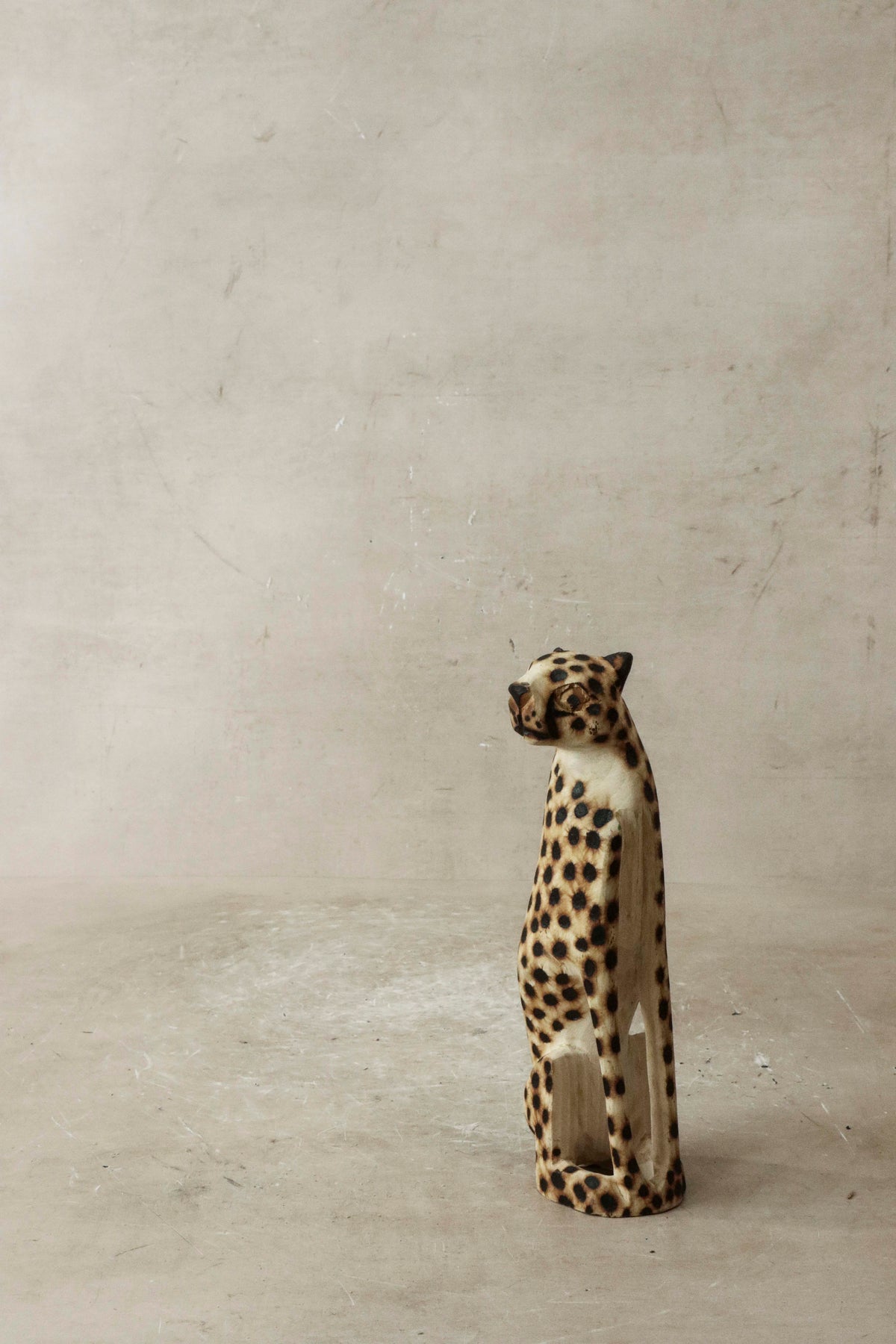 Swazi Cheetah - 35.1