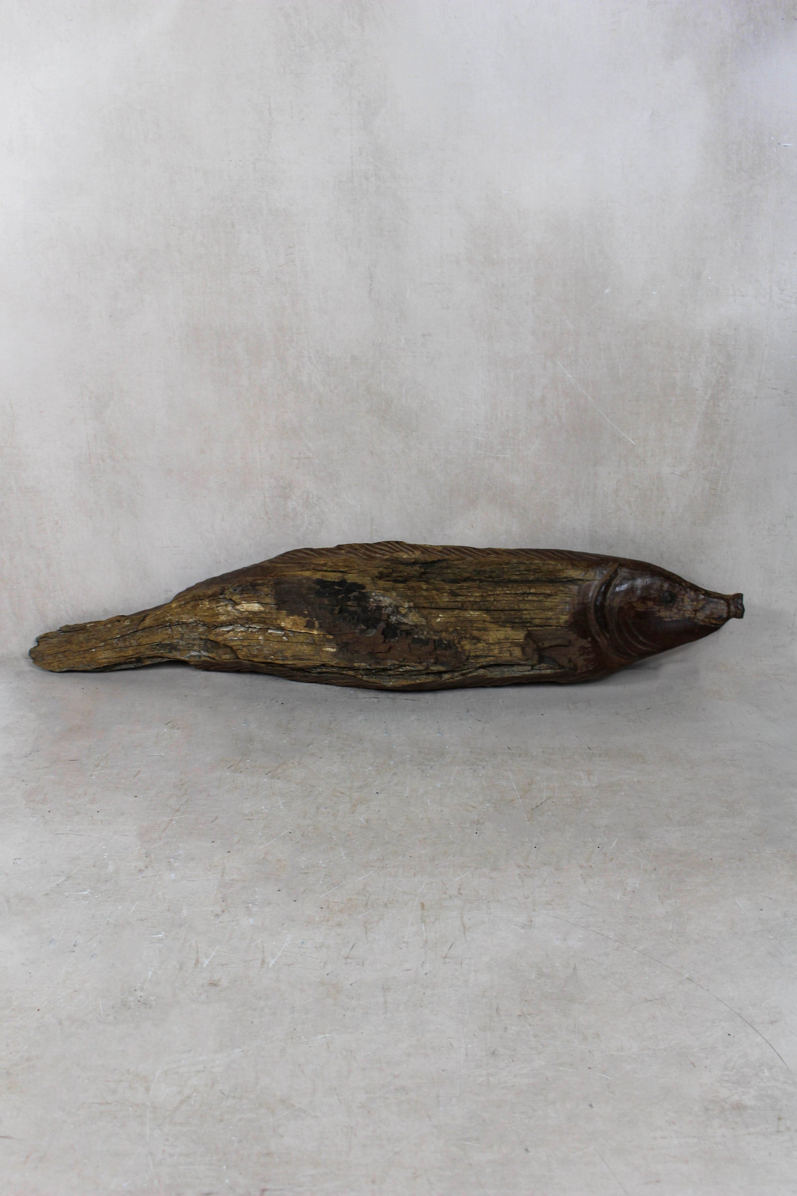 Hand-carved driftwood fish wall sculpture in weathered wood (116.6)