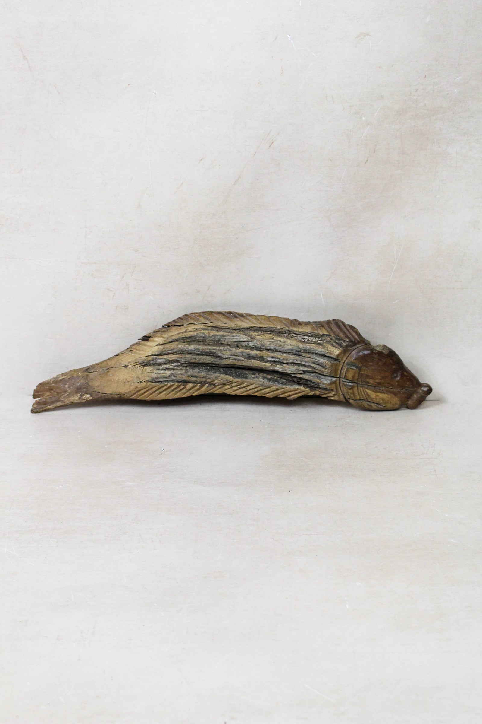 Hand-carved driftwood fish wall sculpture in weathered wood (116.13)