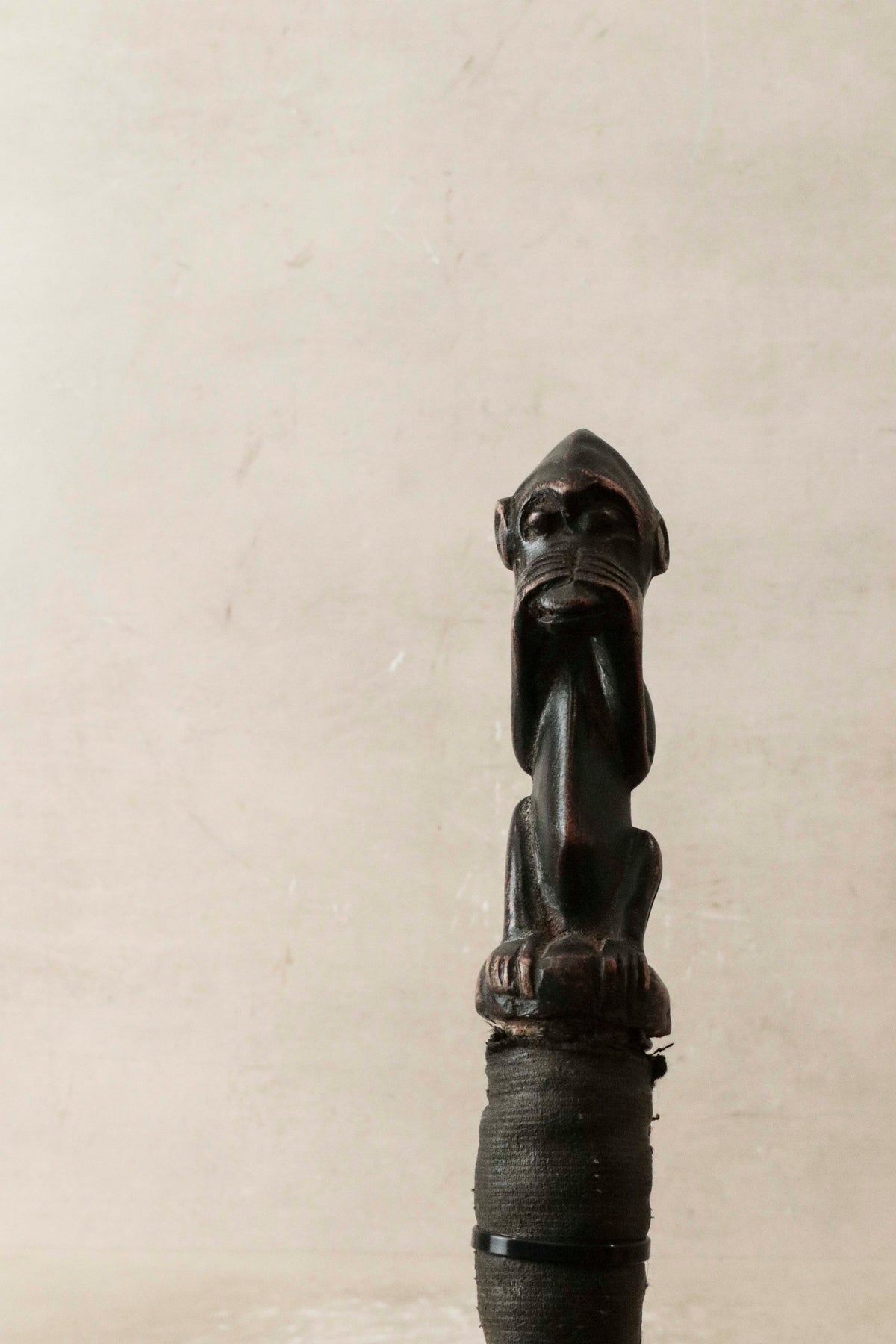 Fly whisk - African - 33.2