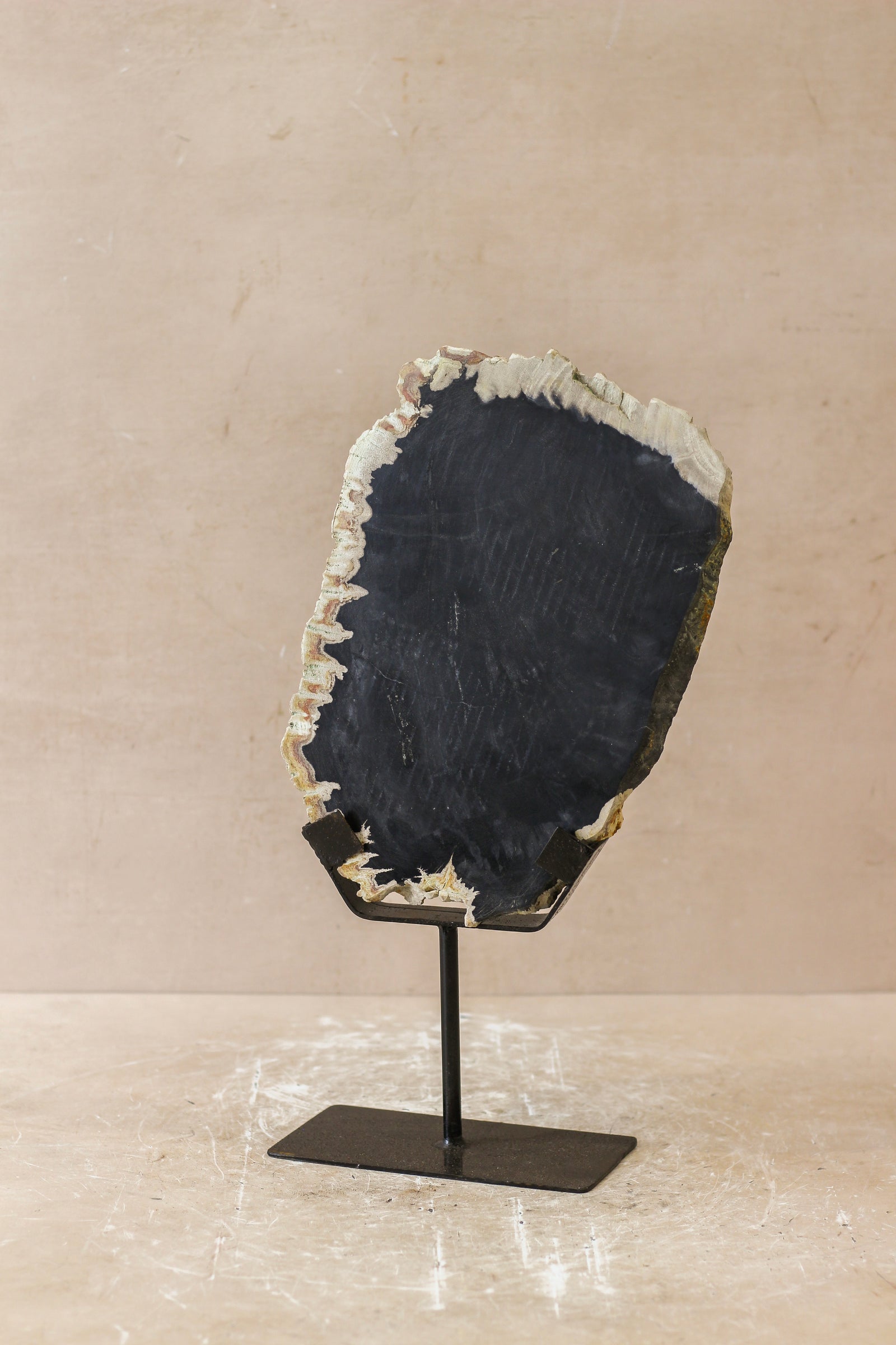 Petrified Wood Display - No 3