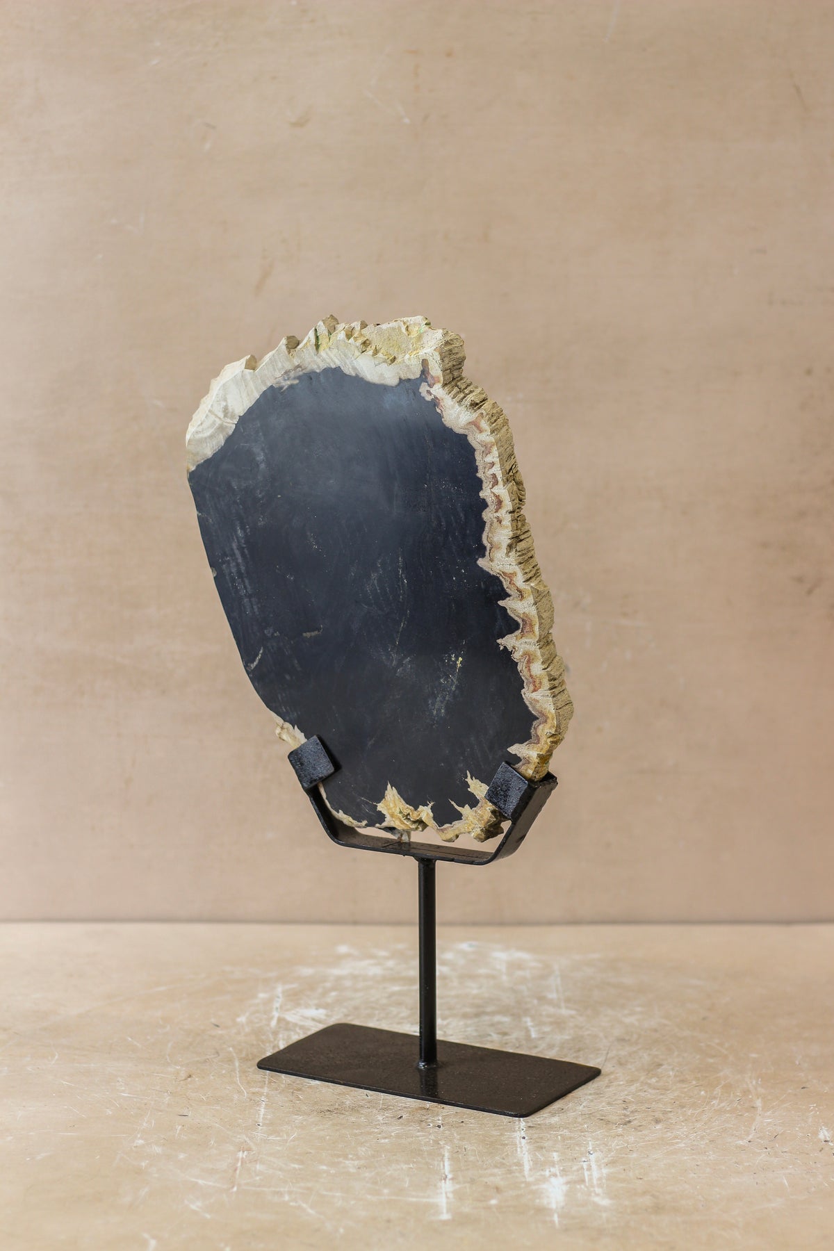 Petrified Wood Display - No 3