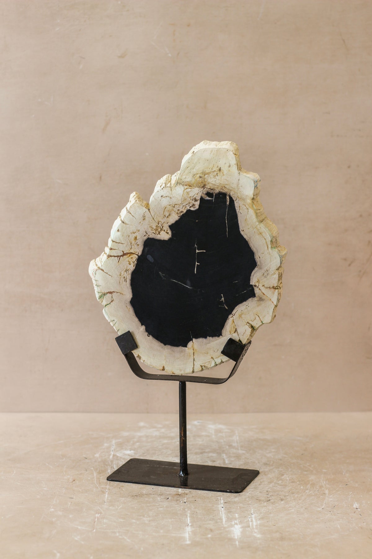 Petrified Wood Display - No 4