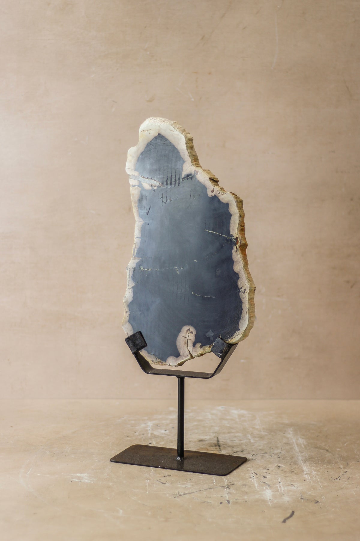 Petrified Wood Display - No 8