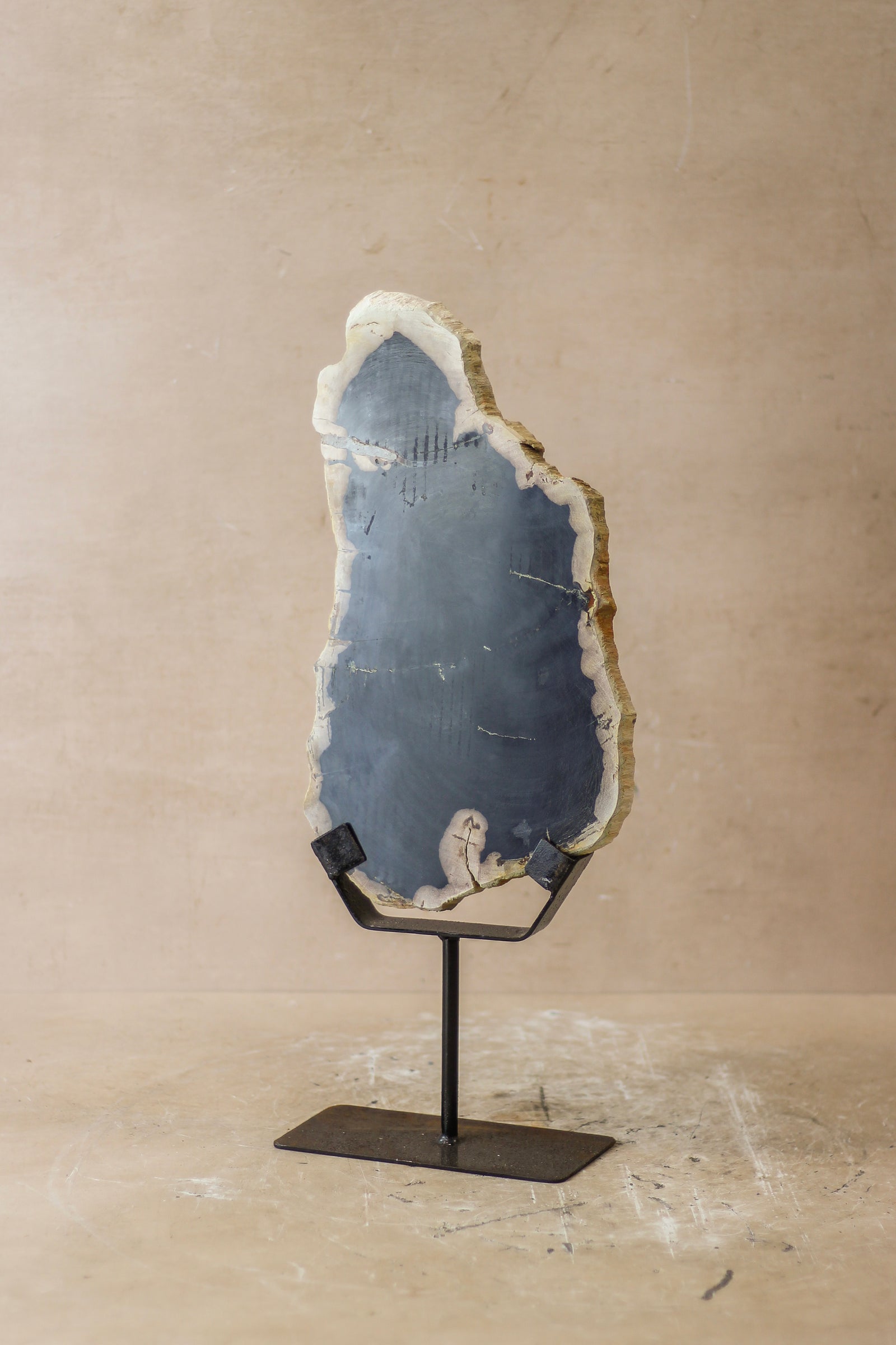 Petrified Wood Display - No 8