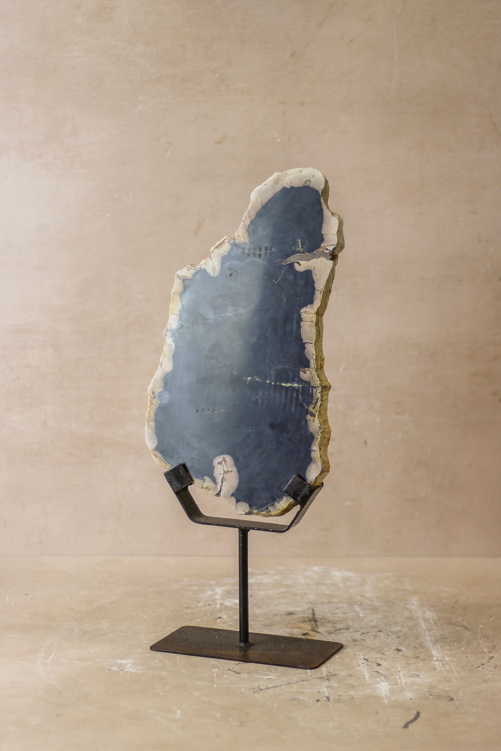 Petrified Wood Display - No 8